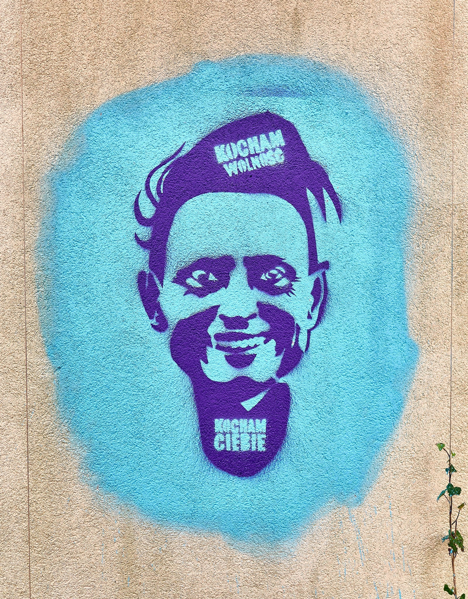 Pierwsze koty - za płoty. Andriej Szypilow — Photography & Videography