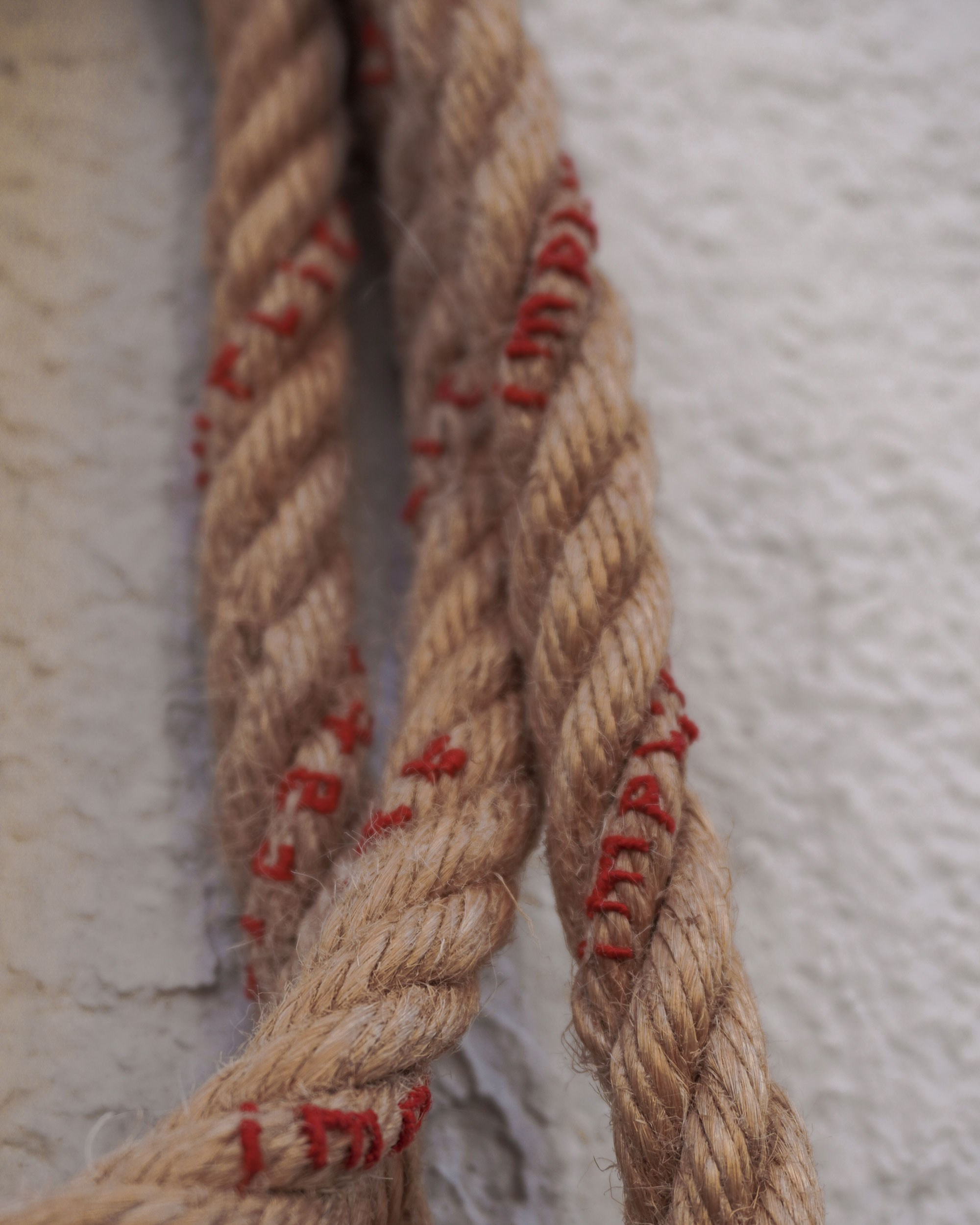 Object picket / 2023. Daria Goncharova / Conceptual artist