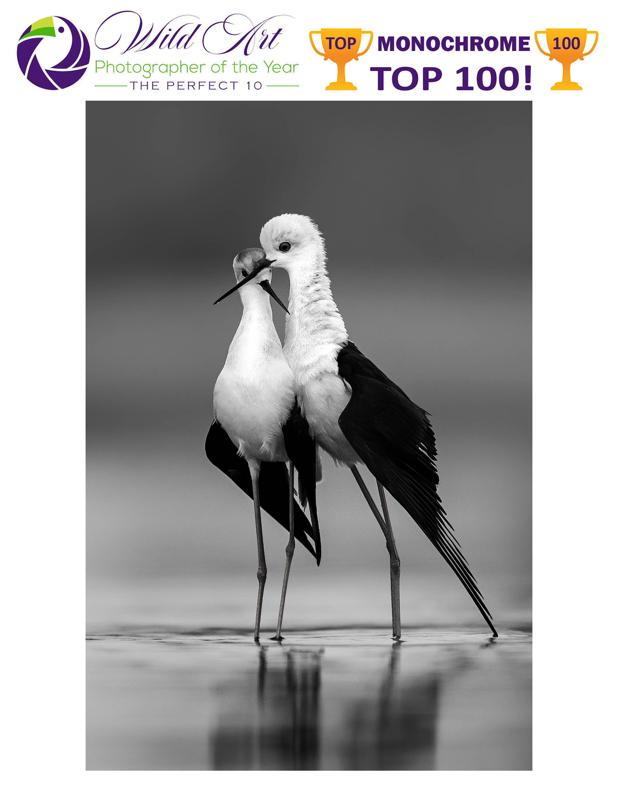 AWARDS AND RECOGNITIONS | AKHIL VINAYAK MENON PHOTOGRAPHY. Akhil Vinayak Menon Photography