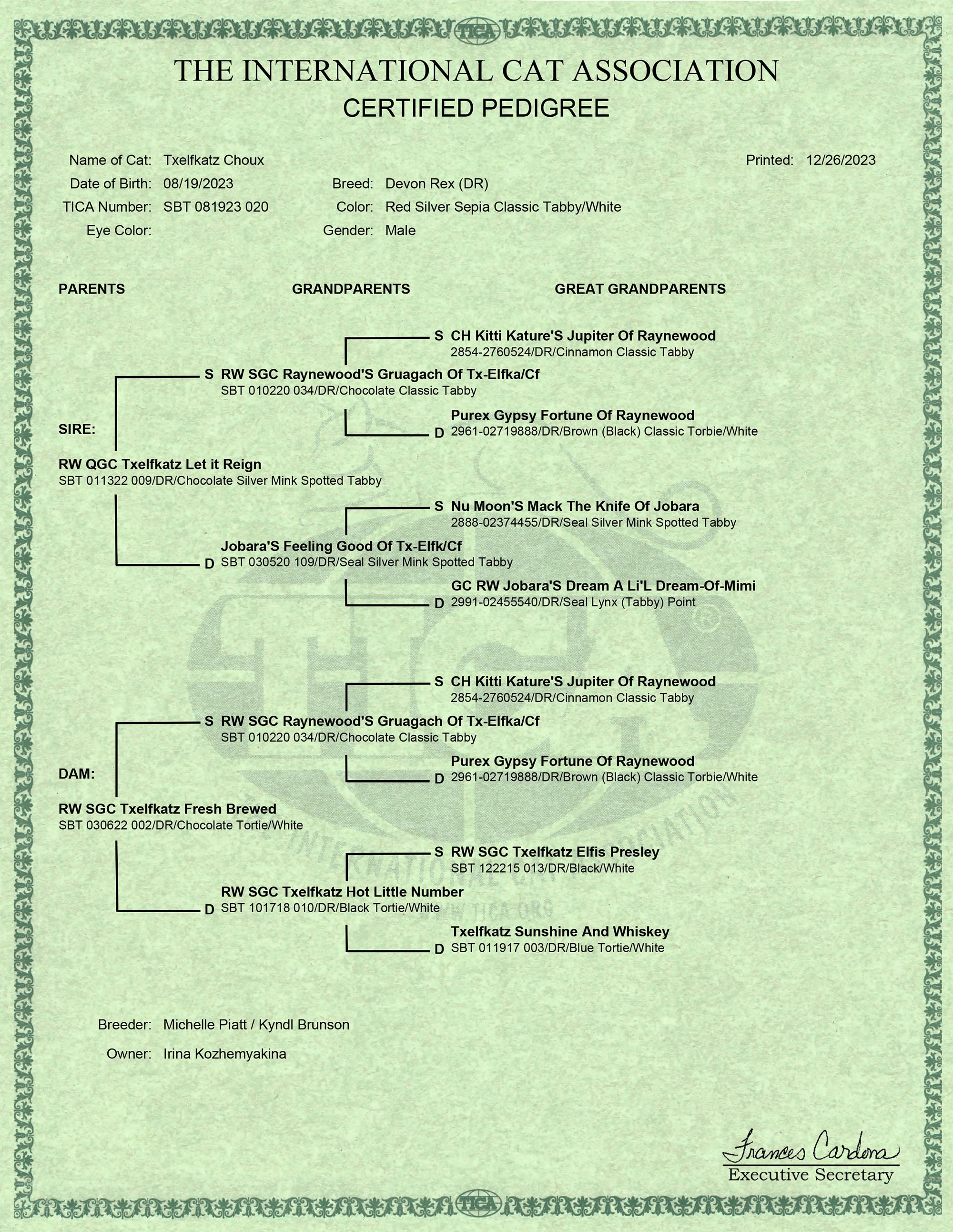 Pedigree Choux. Devon Rex Pixie Cattery