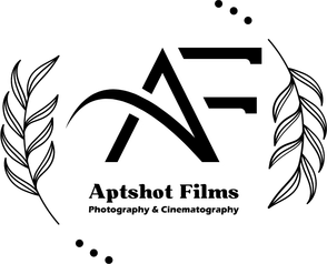 aptshotfilms.in