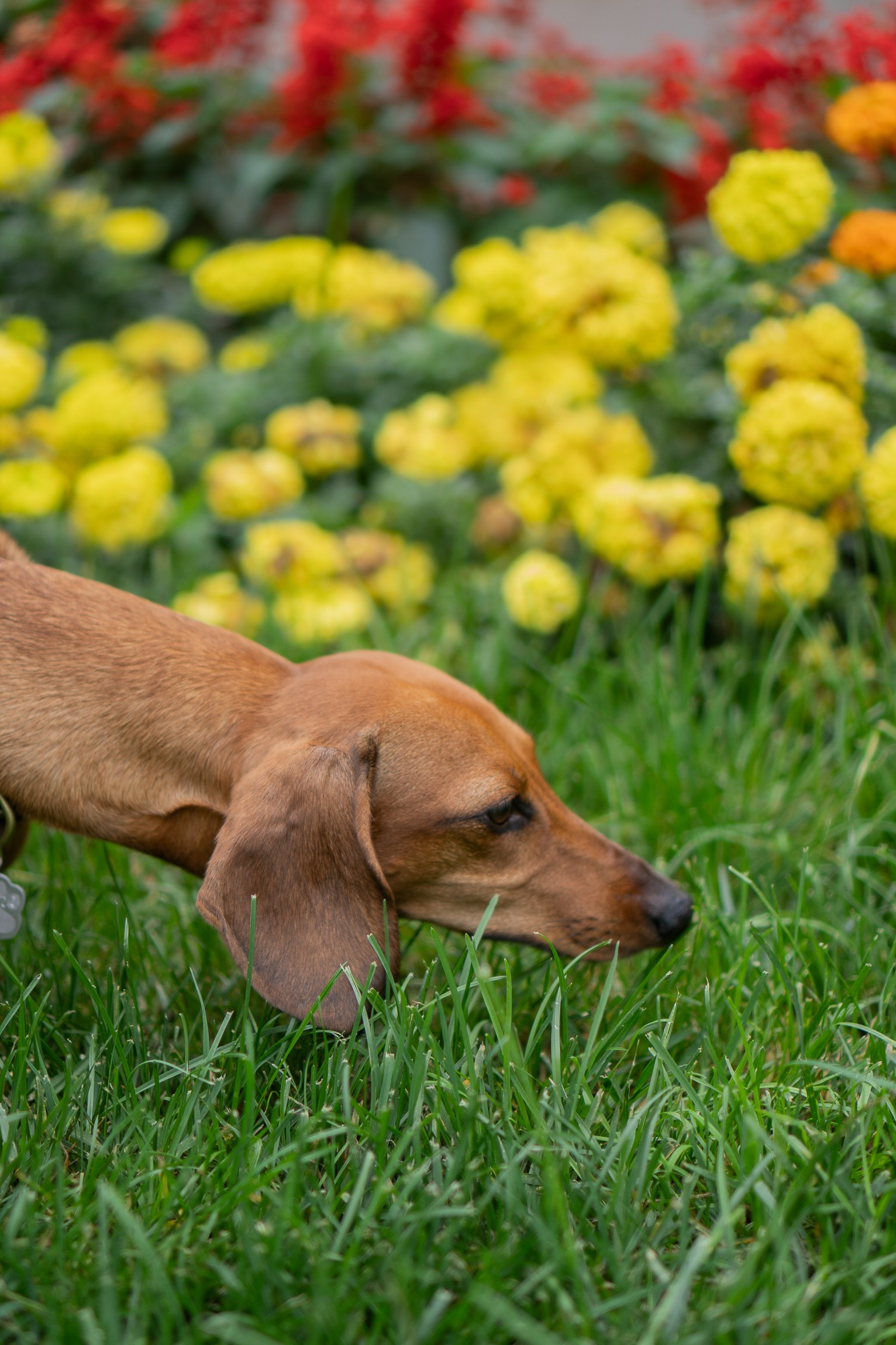 Across the World Together. Central Florida The Villages, Lady Lake Photography