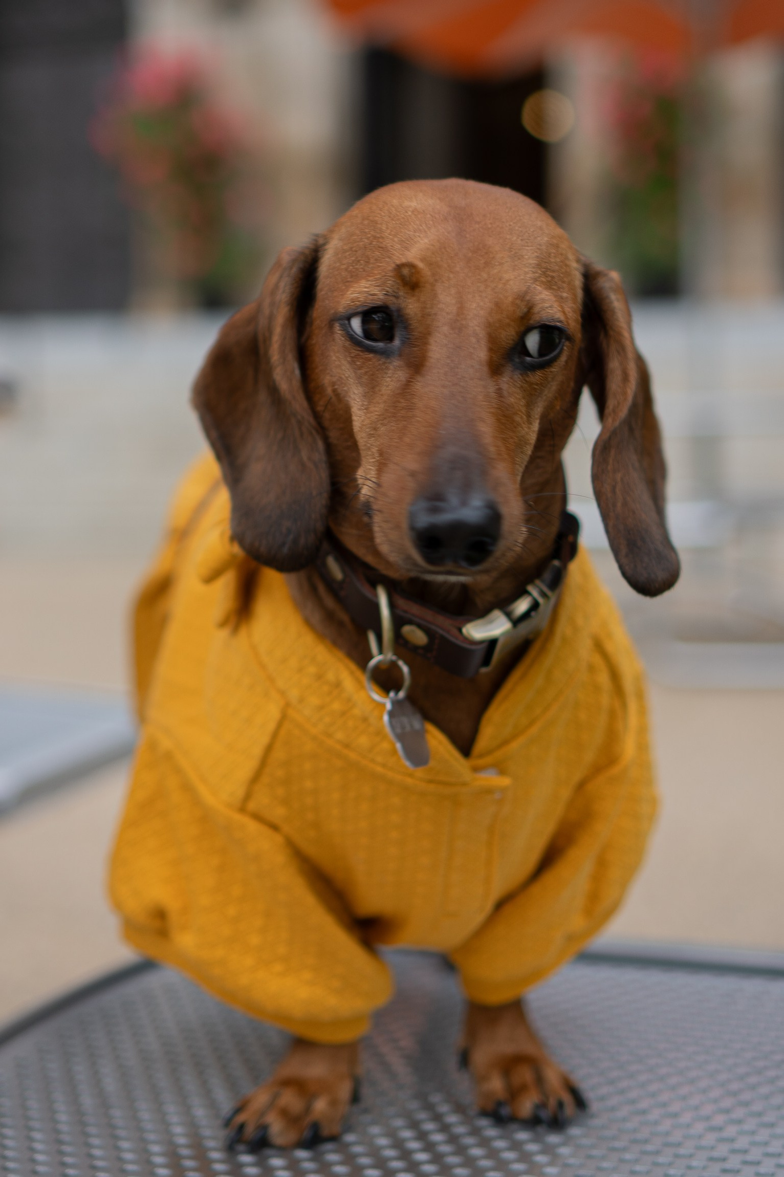Across the World Together. Central Florida The Villages, Lady Lake Photography