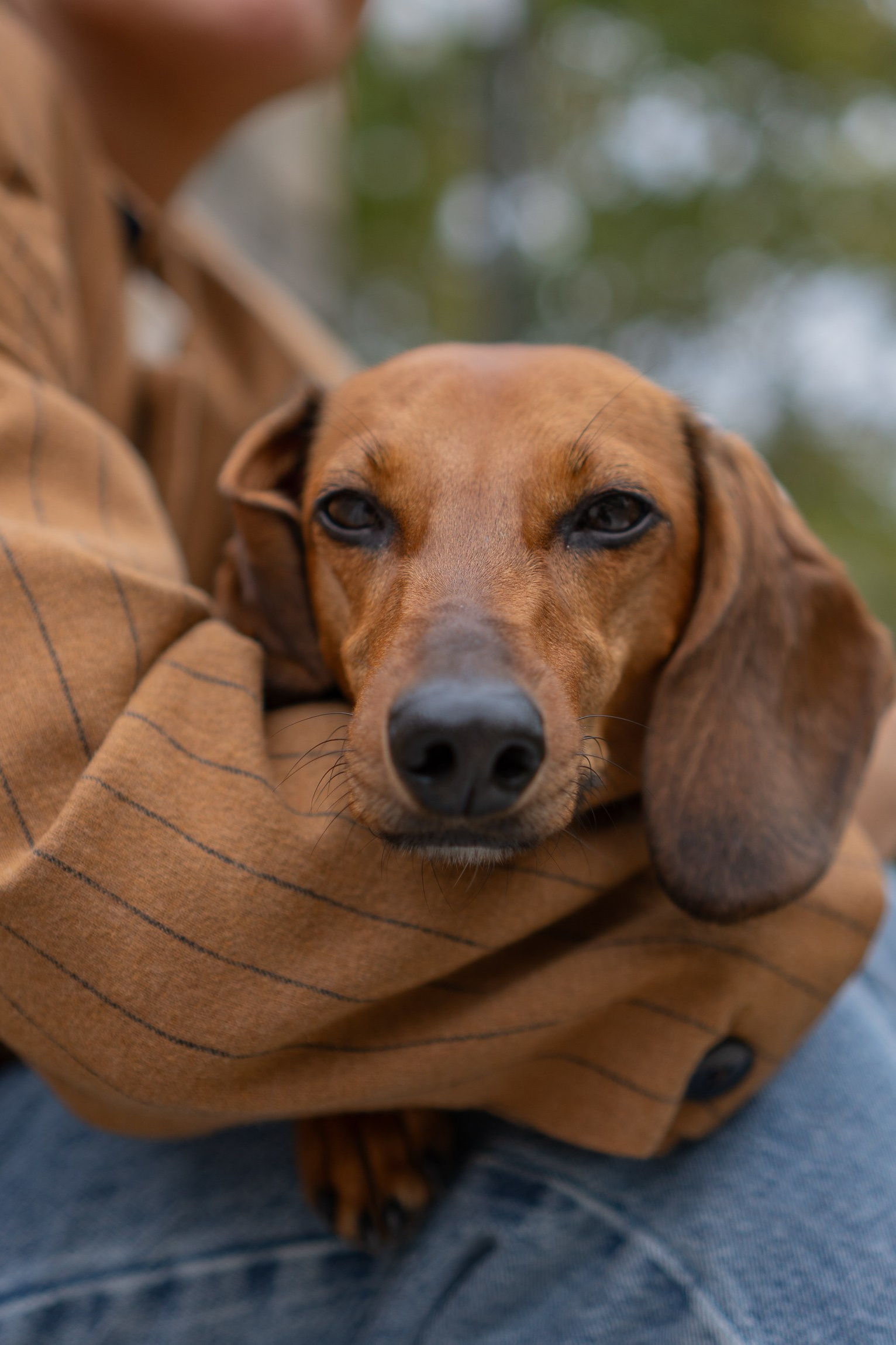 Across the World Together. Central Florida The Villages, Lady Lake Photography