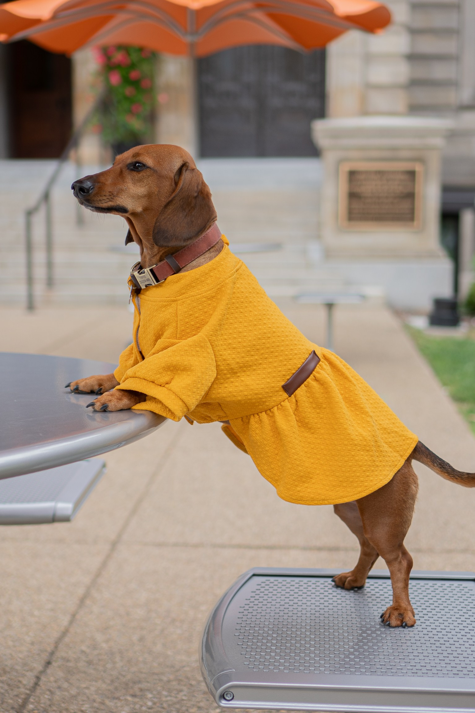 Across the World Together. Central Florida The Villages, Lady Lake Photography