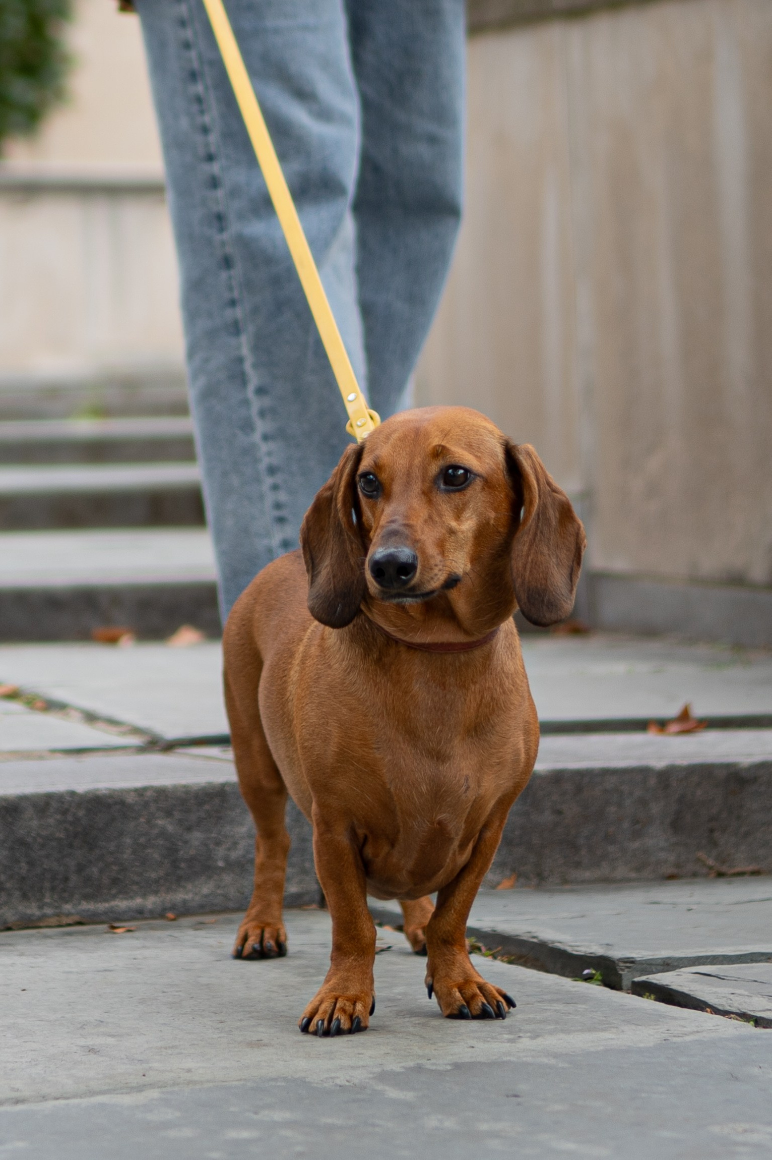 Across the World Together. Central Florida The Villages, Lady Lake Photography