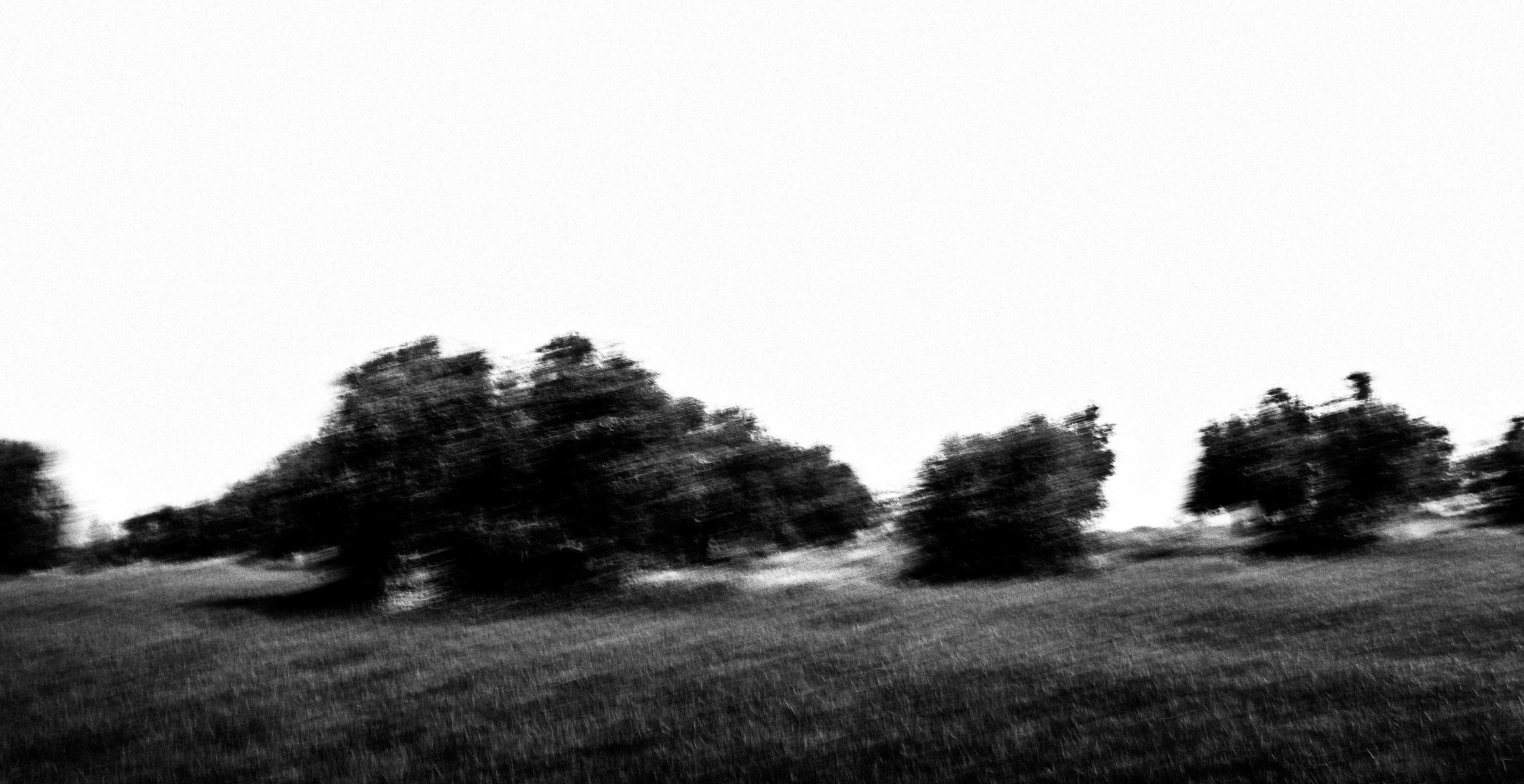 Fine Art. W LAB 192 | Davide Vichi