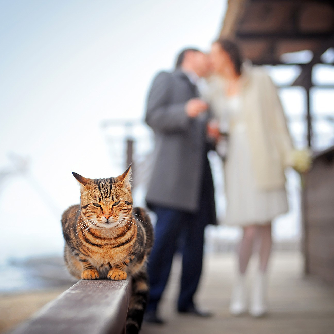 Wedding, event and family photographer in Moldova, Chisinau— Andrei Zveaghintev