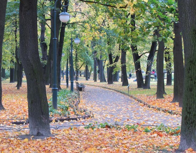 Осенняя съемка. Михайловский сад СПб