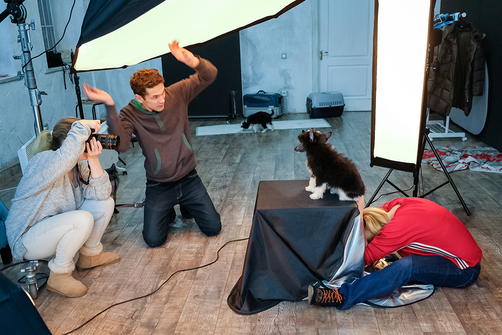 About. Pet photographer Kateryna Mumzhynska