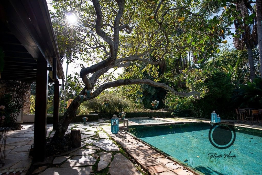 Onde Fazer Ensaio Fotográfico em Brasília? Confira Essas Indicações Perfeitas para Fotos Profissionais. Fotógrafo de Brasília | Vini Fotógrafo: Especialista em Casamentos, Ensaios e Eventos