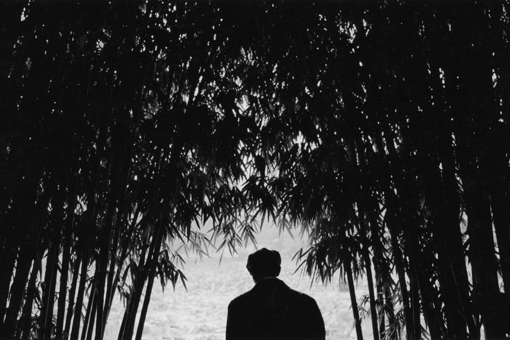 Pavlos Kozalidis / China: The House of Butterflies