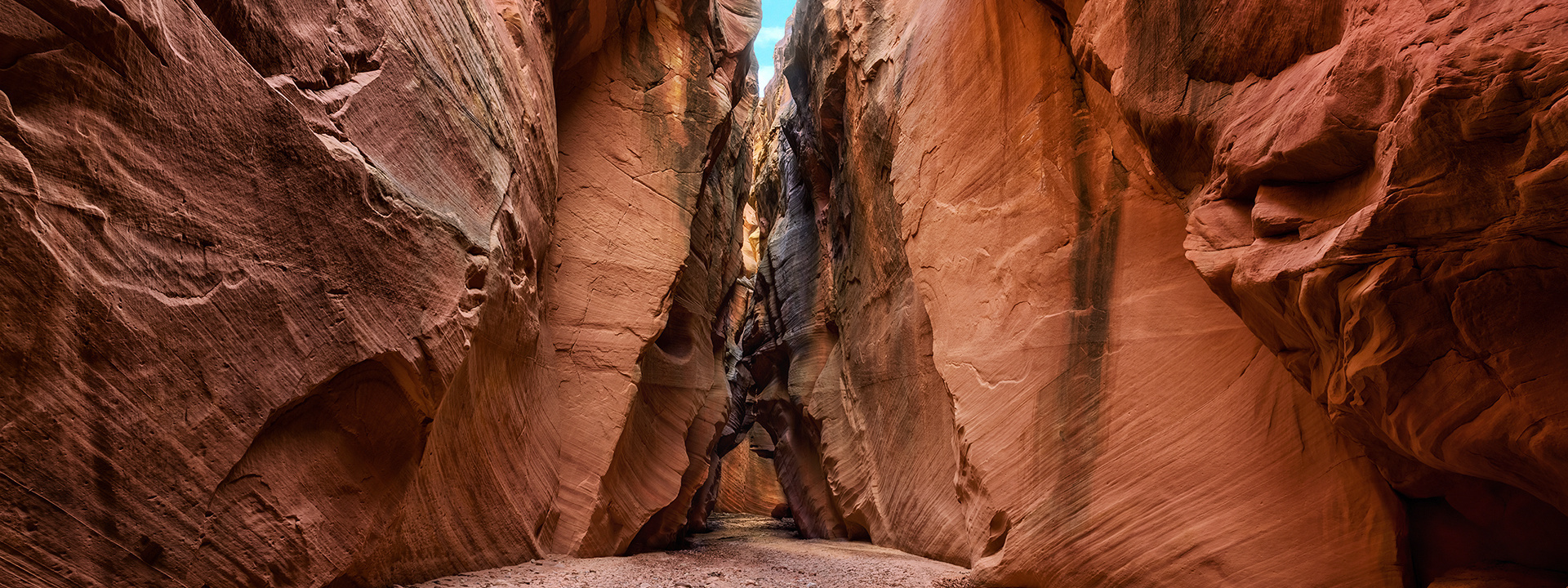 Расписание Туров и Мастер-Классов. Alex Mironyuk Photography