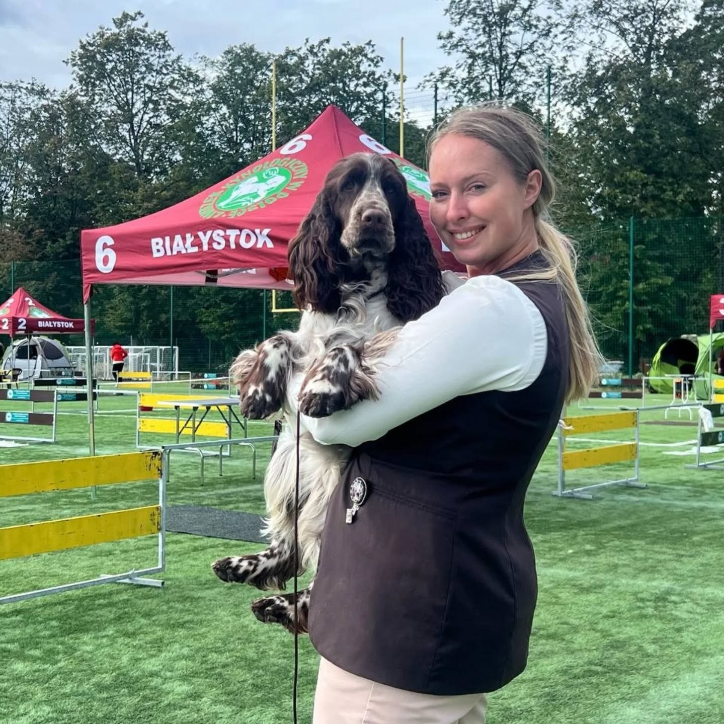 LORDSETT CASABLANKA english springer spaniel