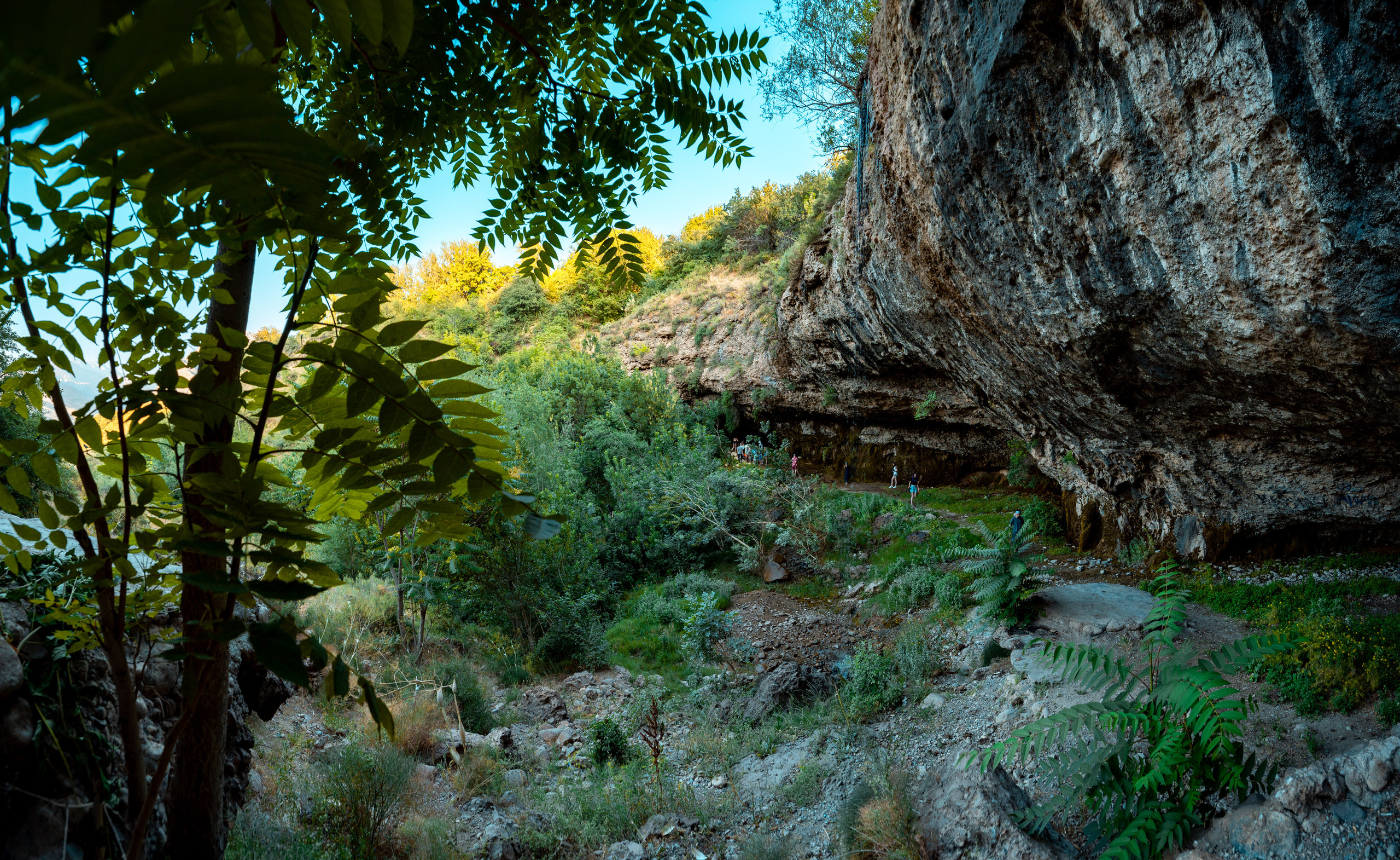 Sigma 14 mm F1.4 DG DN Art. Фотограф Григорий Кравец