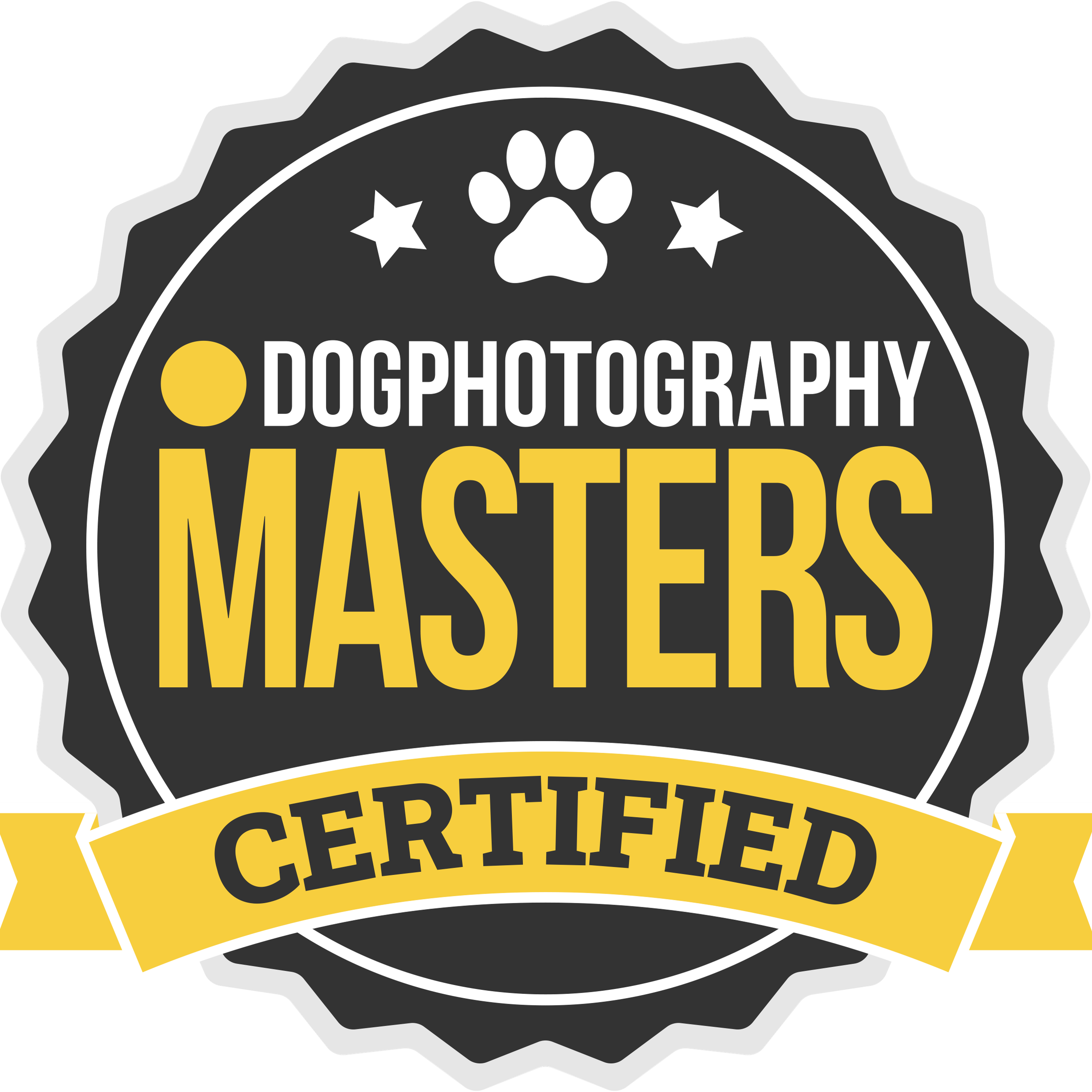 dog, photography, masters certified, fotografia cani, cane in azione, cani al aperto, corso di fotografia livello rpfessionale 