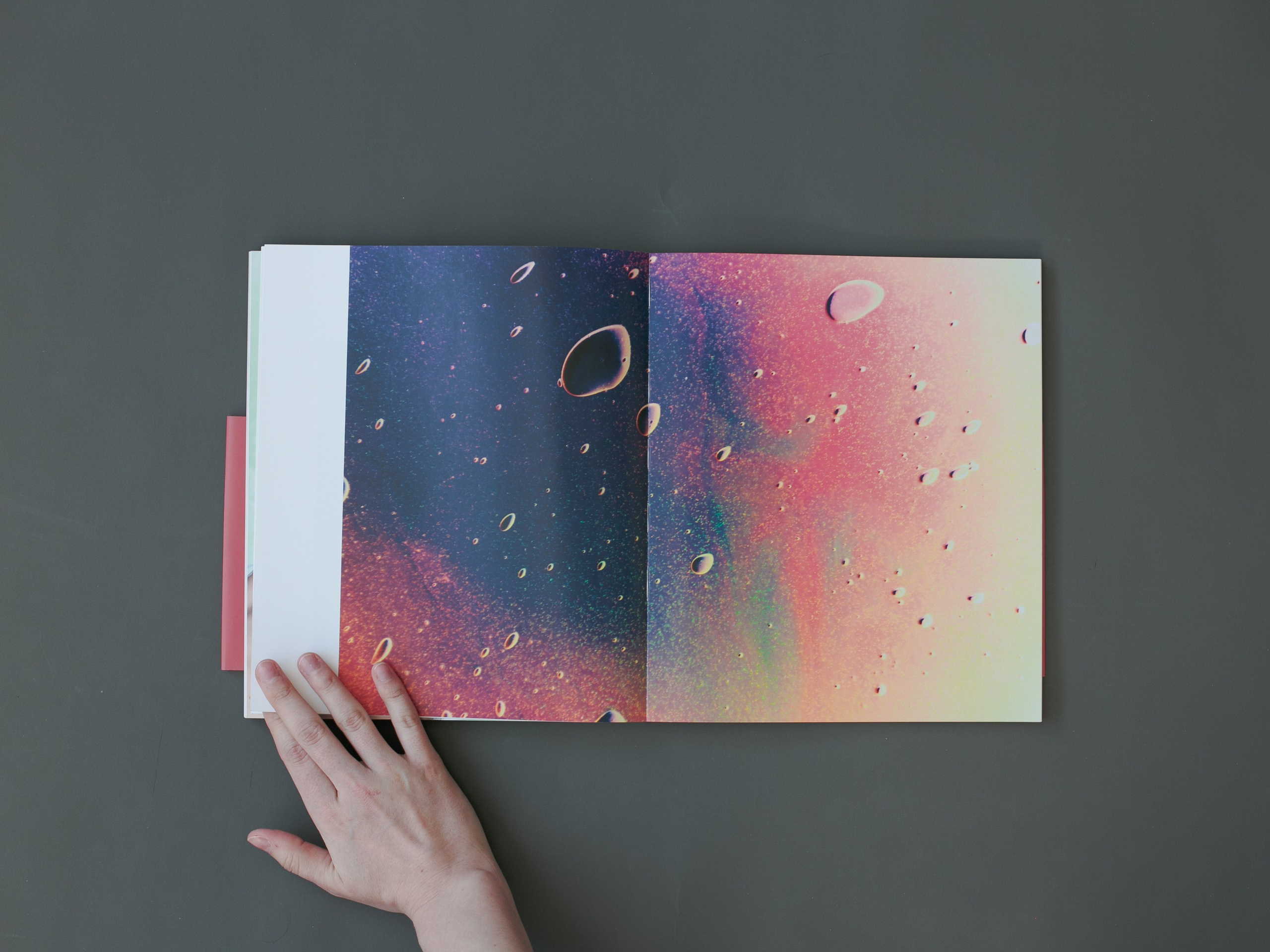 Highlights by Eugenia Ignatova