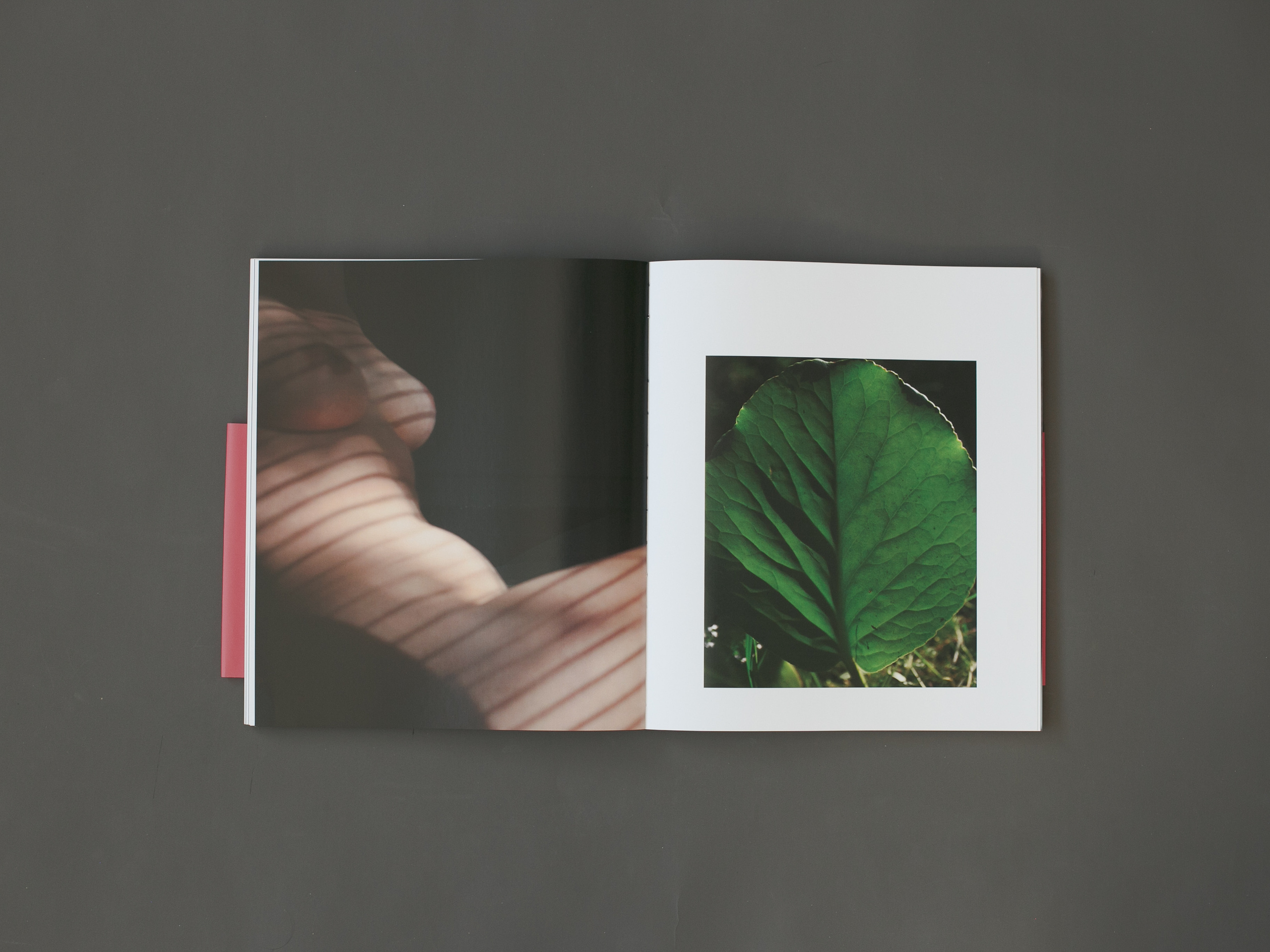 Highlights. Eugenia Ignatova multidisciplinary artist, photographer in Belgrade