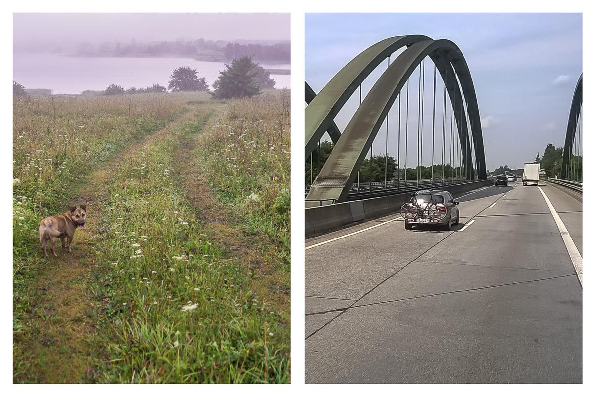 «ОСТАВЛЕННЫЙ» — город Припять после аварии на Чернобыле. Фотограф, коллекционер винтажных открыток и создатель историй на пересечении прошлого и личного. Ирина Дайнакова
