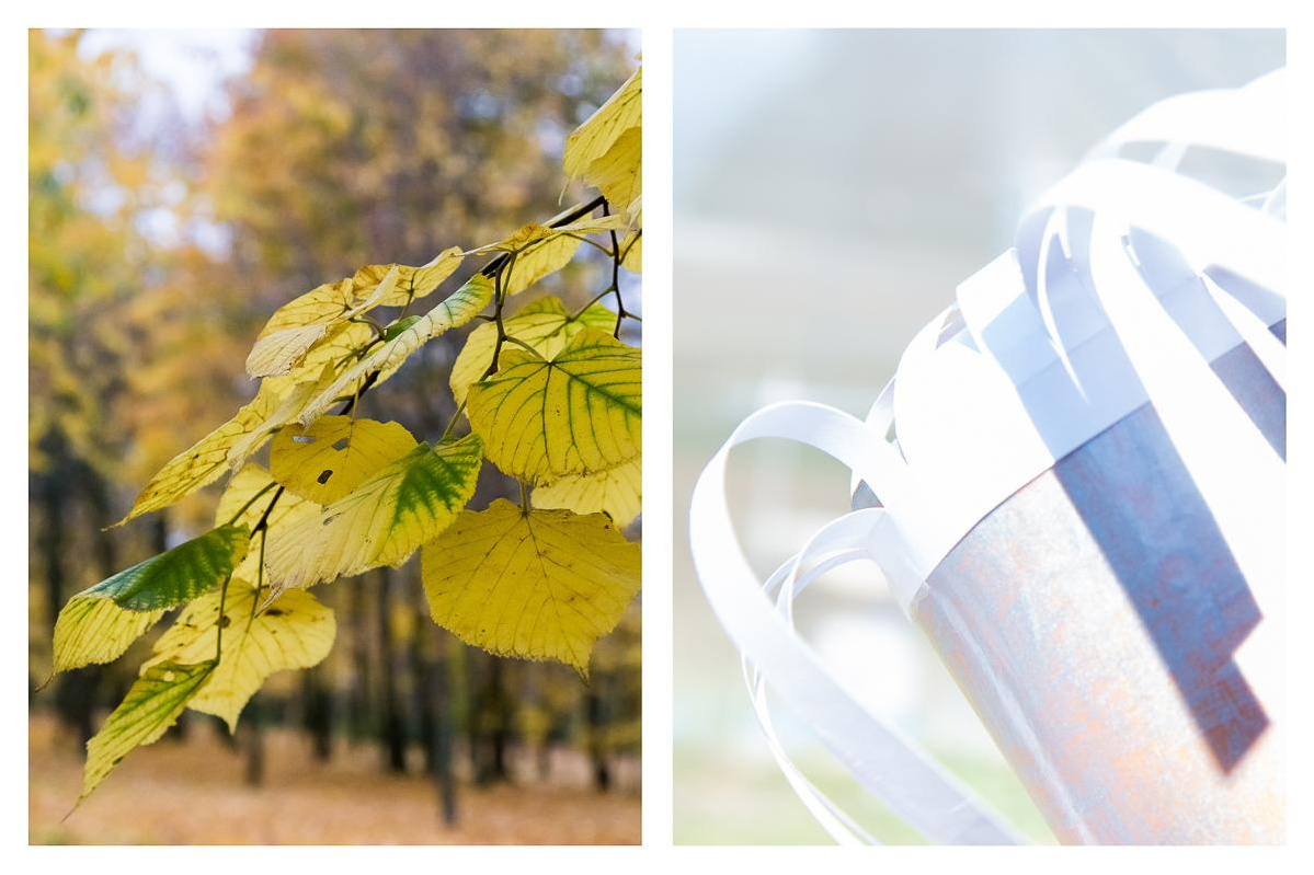 «ОСТАВЛЕННЫЙ» — город Припять после аварии на Чернобыле. Фотограф, коллекционер винтажных открыток и создатель историй на пересечении прошлого и личного. Ирина Дайнакова