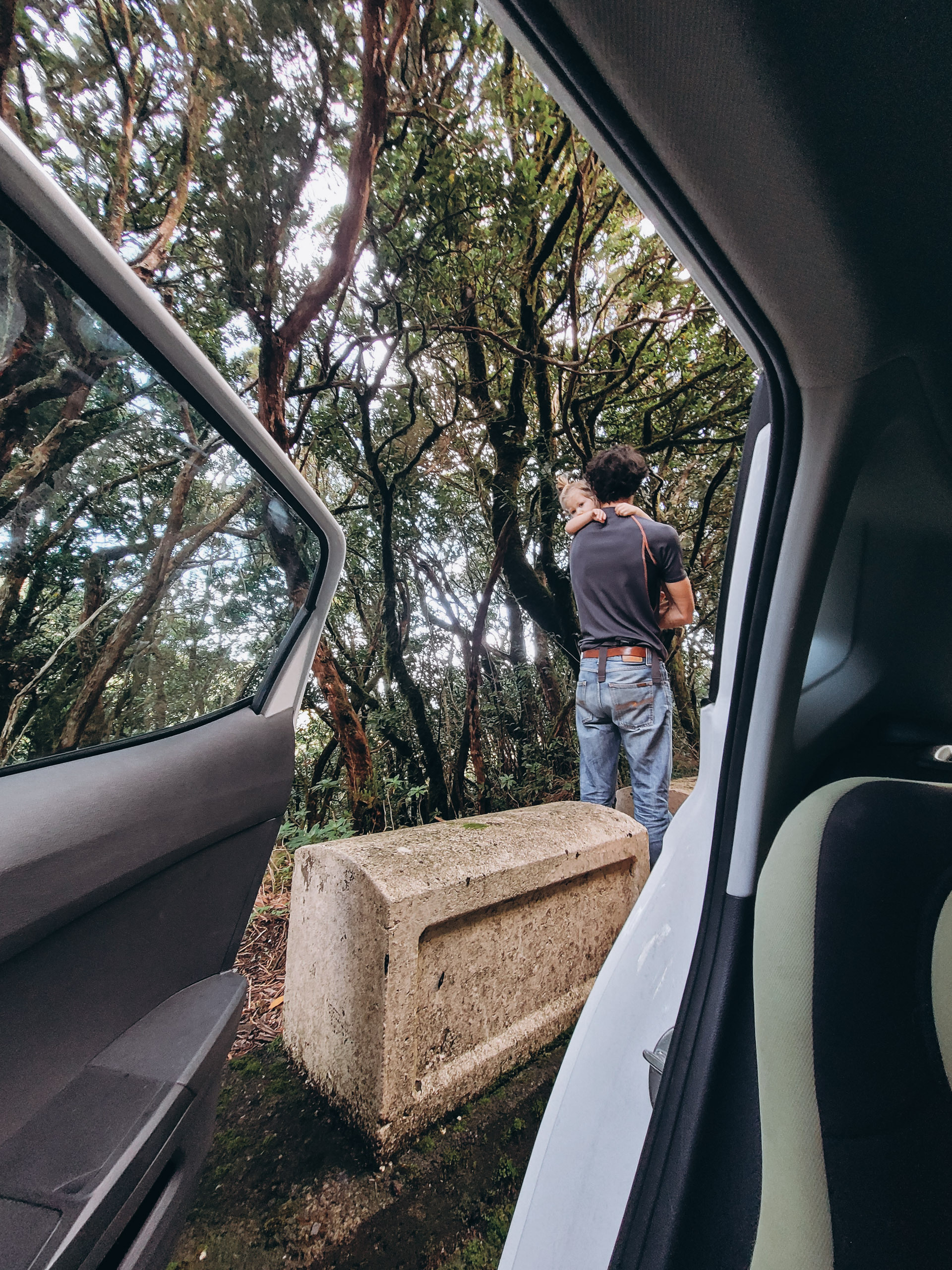 tenerife kalni ar auto
