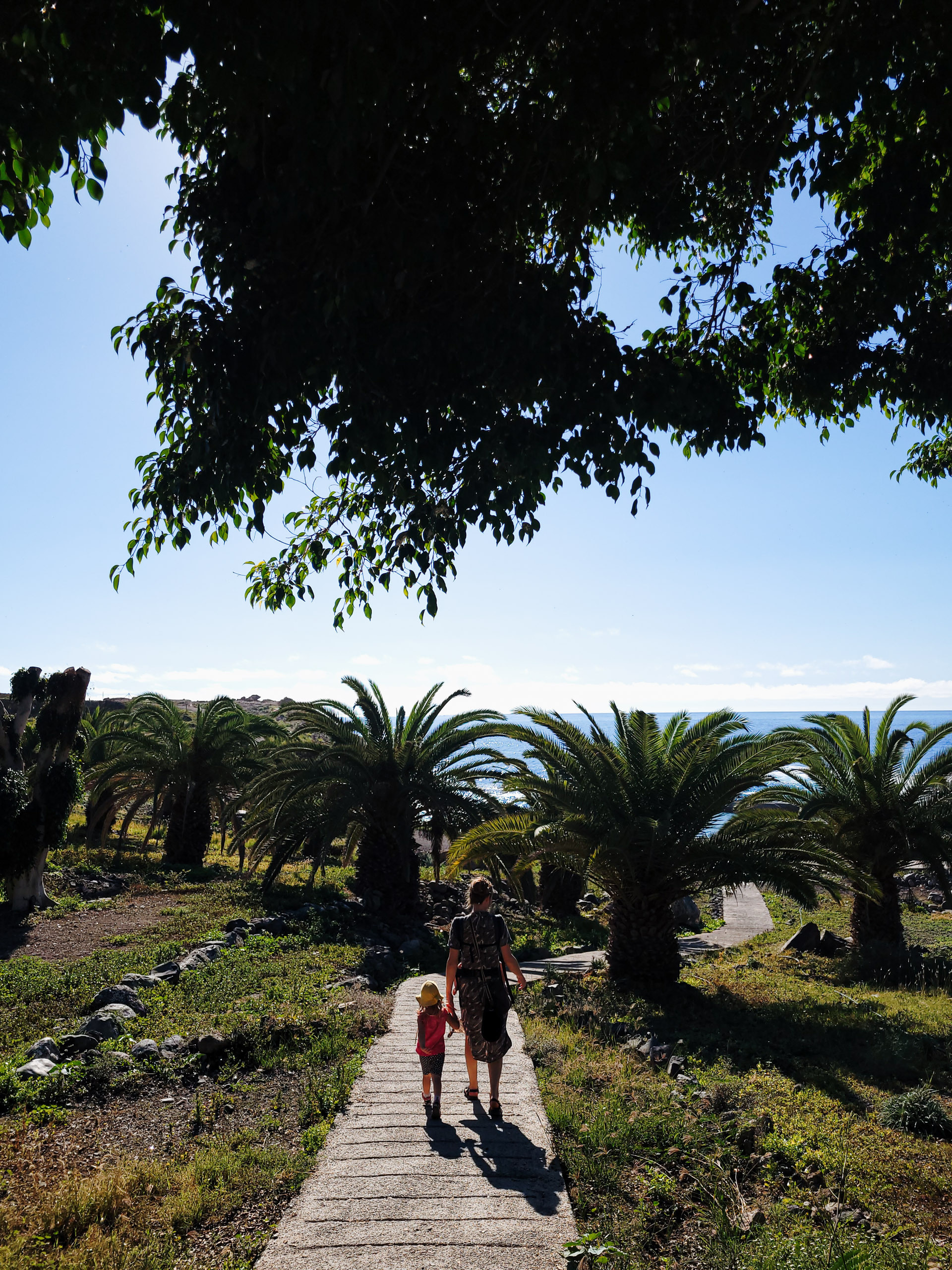 pludmale tenerife