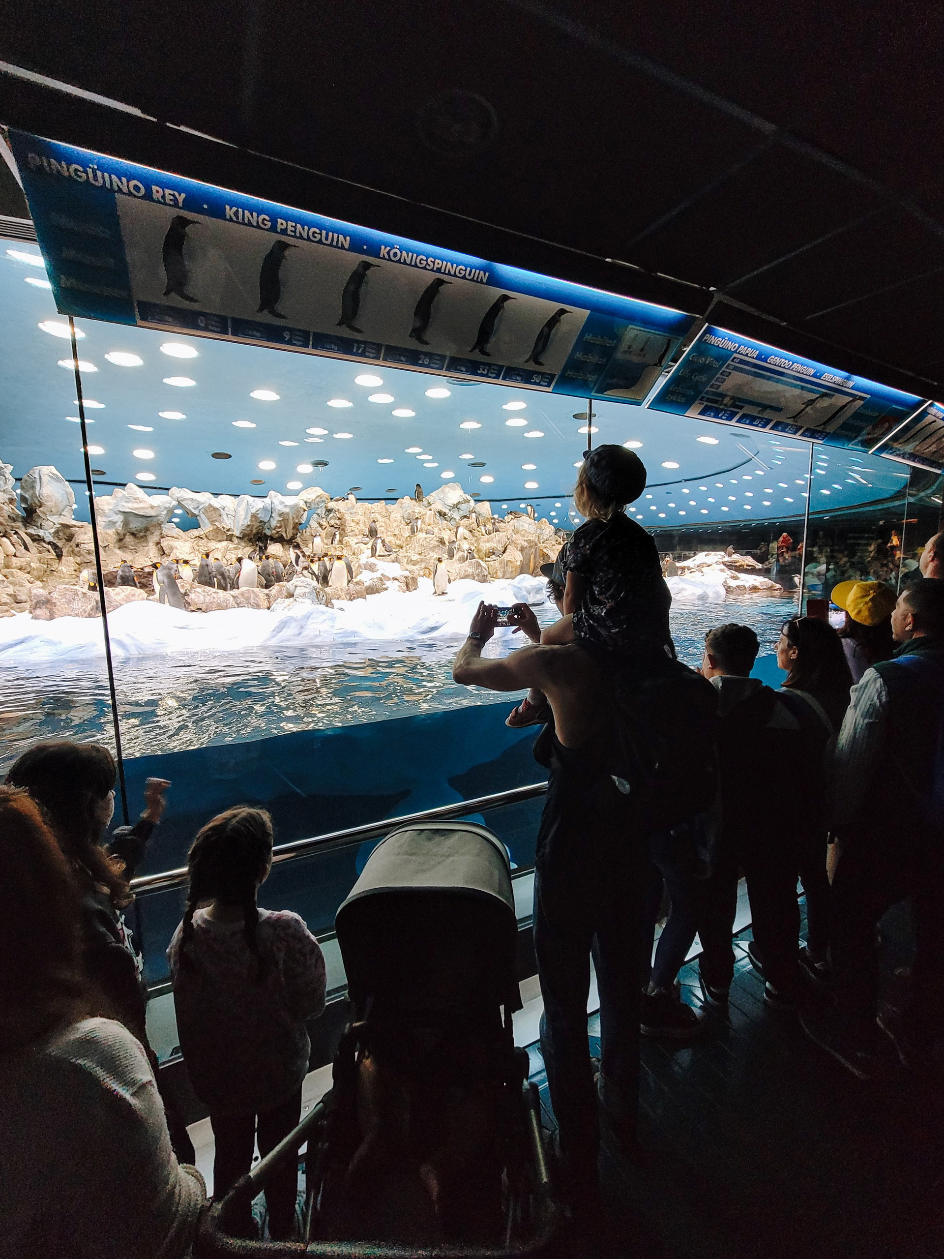 zoodārzs tenerife