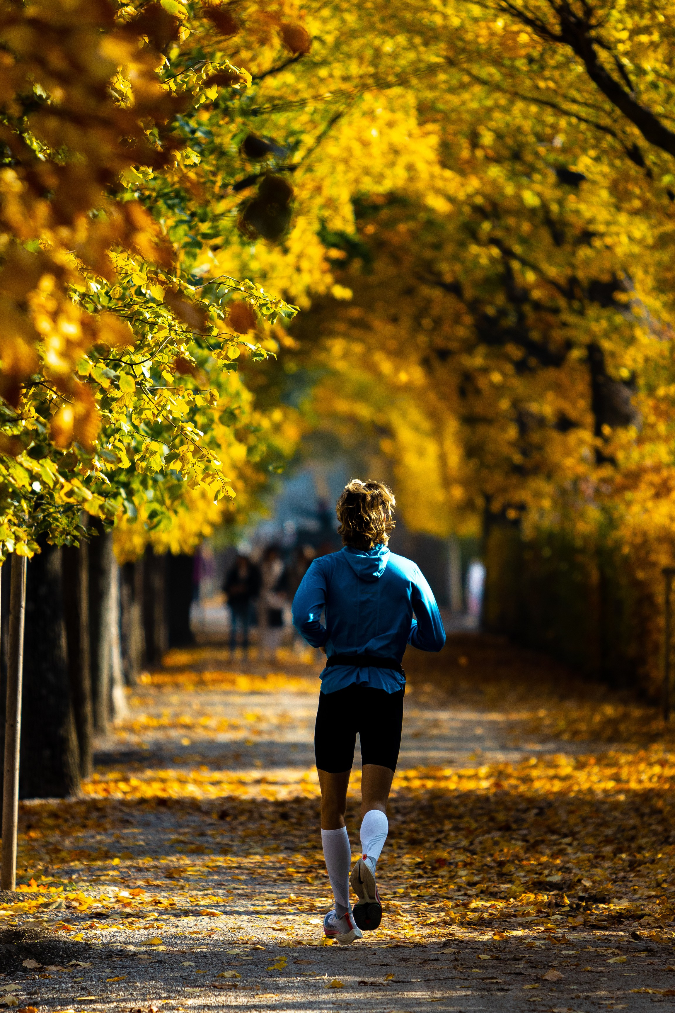 Бегун в осеннем парке Шённбрунн. Вена, Австрия. Жанровая фотография Юрия Меркулова. 