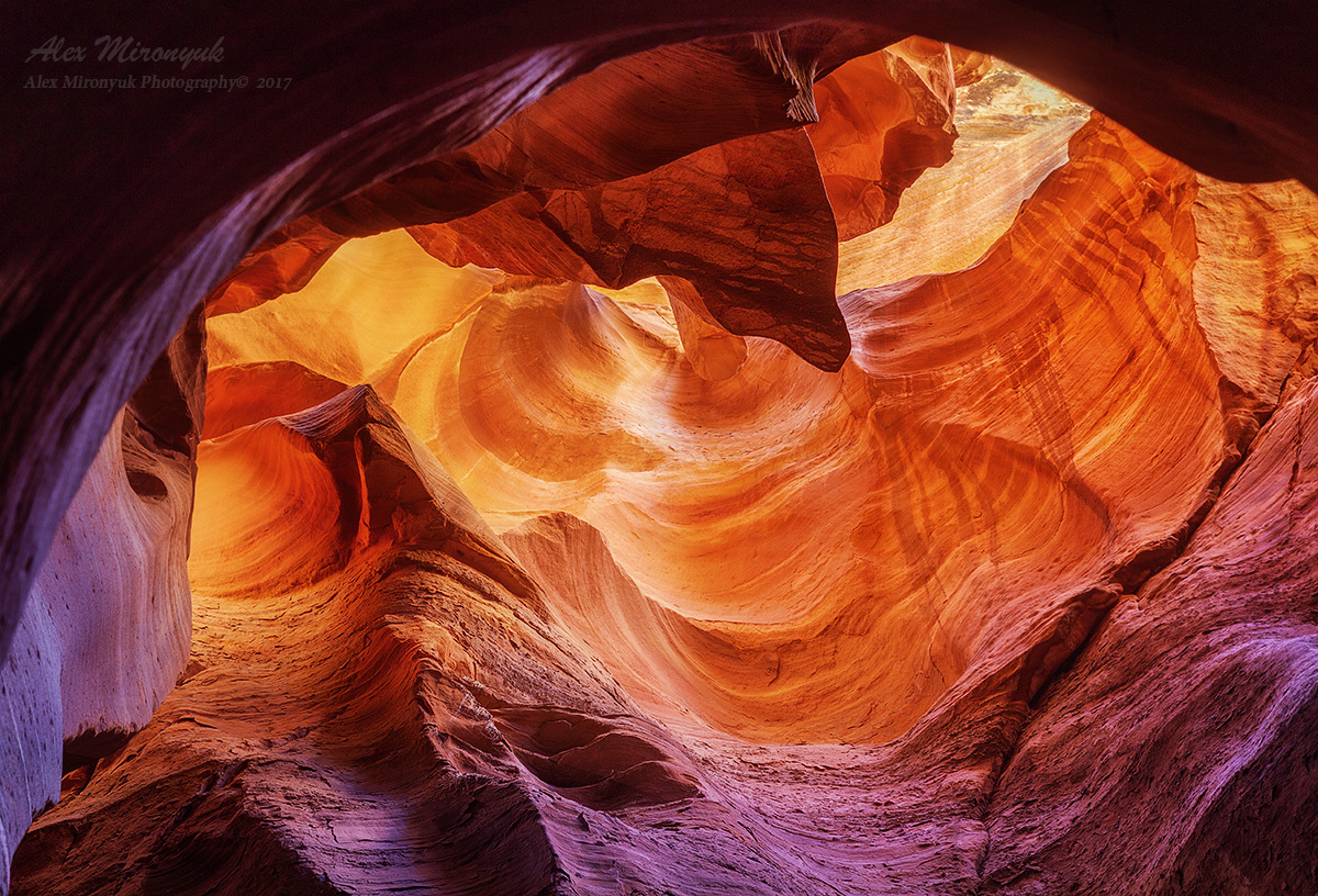 Recommended Equipment. Pet, Senior, Landscape, portrait studio, photographer in Miami and Sou