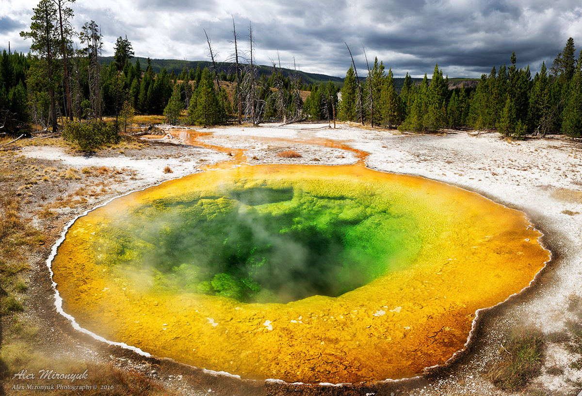 Recommended Equipment. Pet, Senior, Landscape, portrait studio, photographer in Miami and Sou