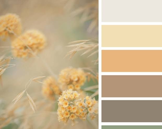 Рекомендаци по подбору образа. Фотограф в Алании (Аланье), Сиде, Манавгате. Турция