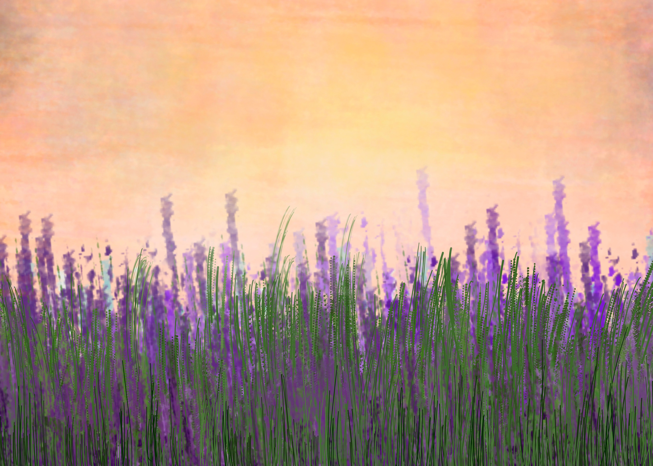 חנות. דף הבית