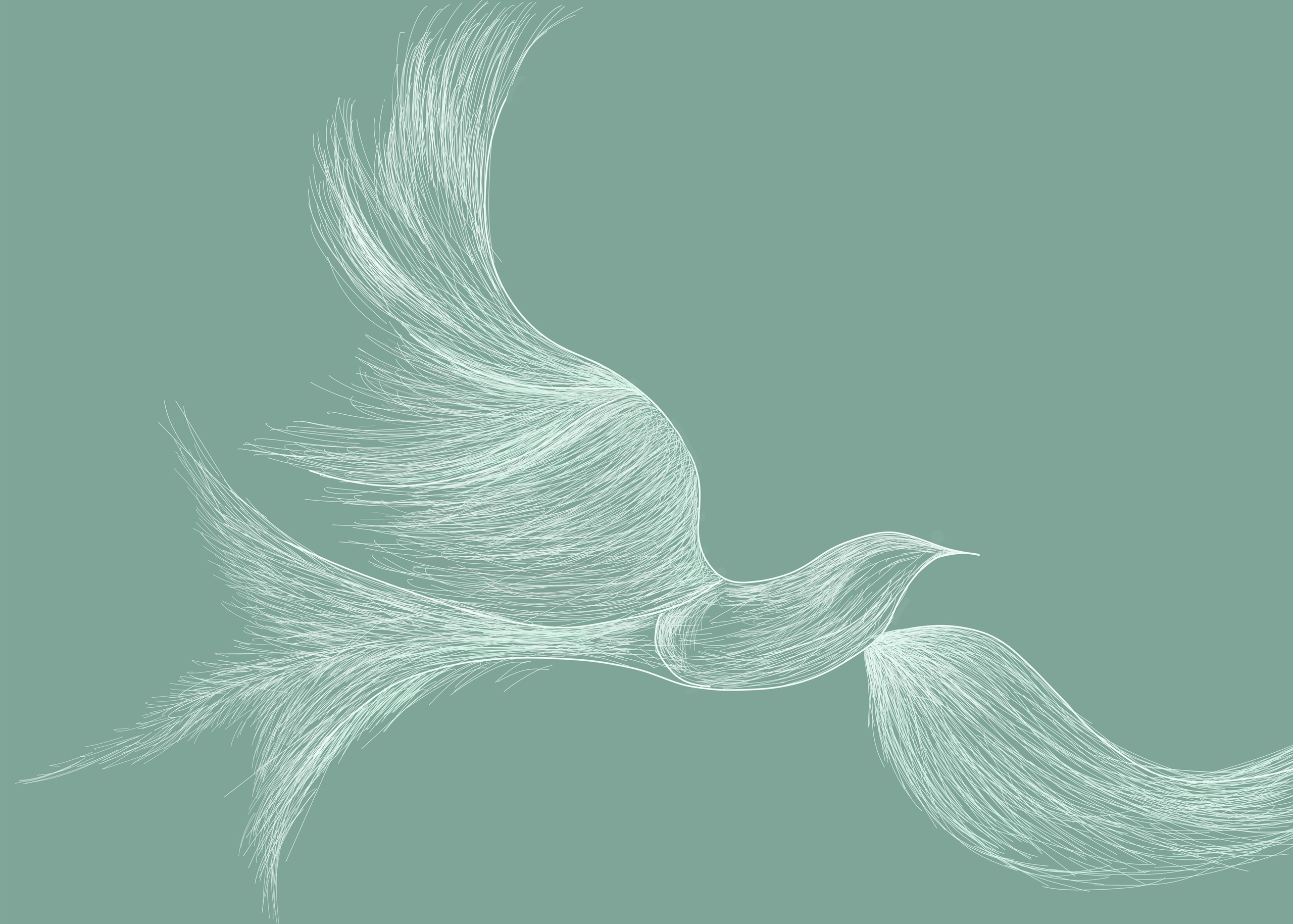 חנות. דף הבית