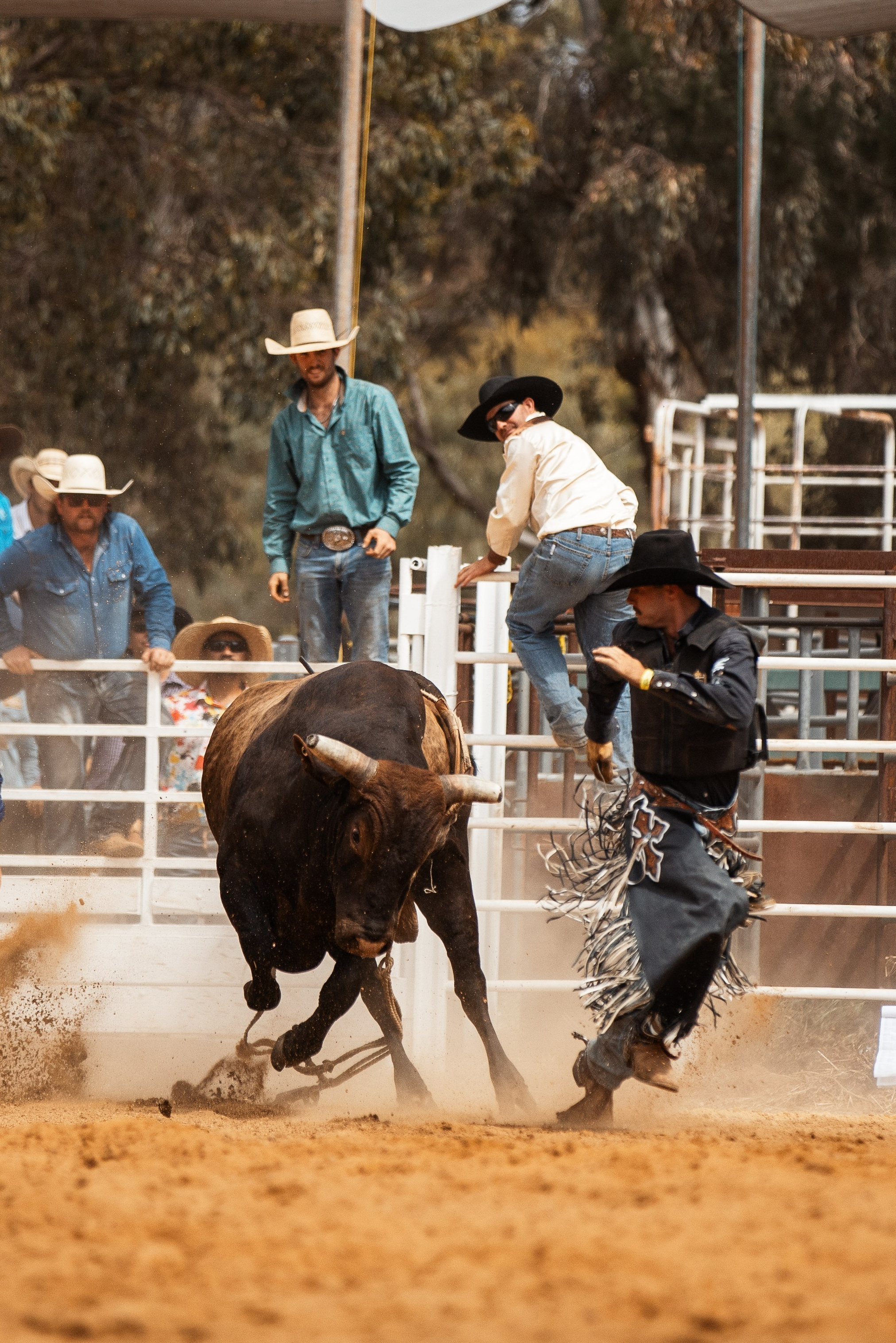 Irina Santos Portfolio