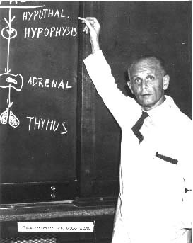 Обзор книги Ганса Селье «Стресс без дистресса». 5 главных советов. Change4Life: медитации, выгорание, мягкие навыки, ретриты