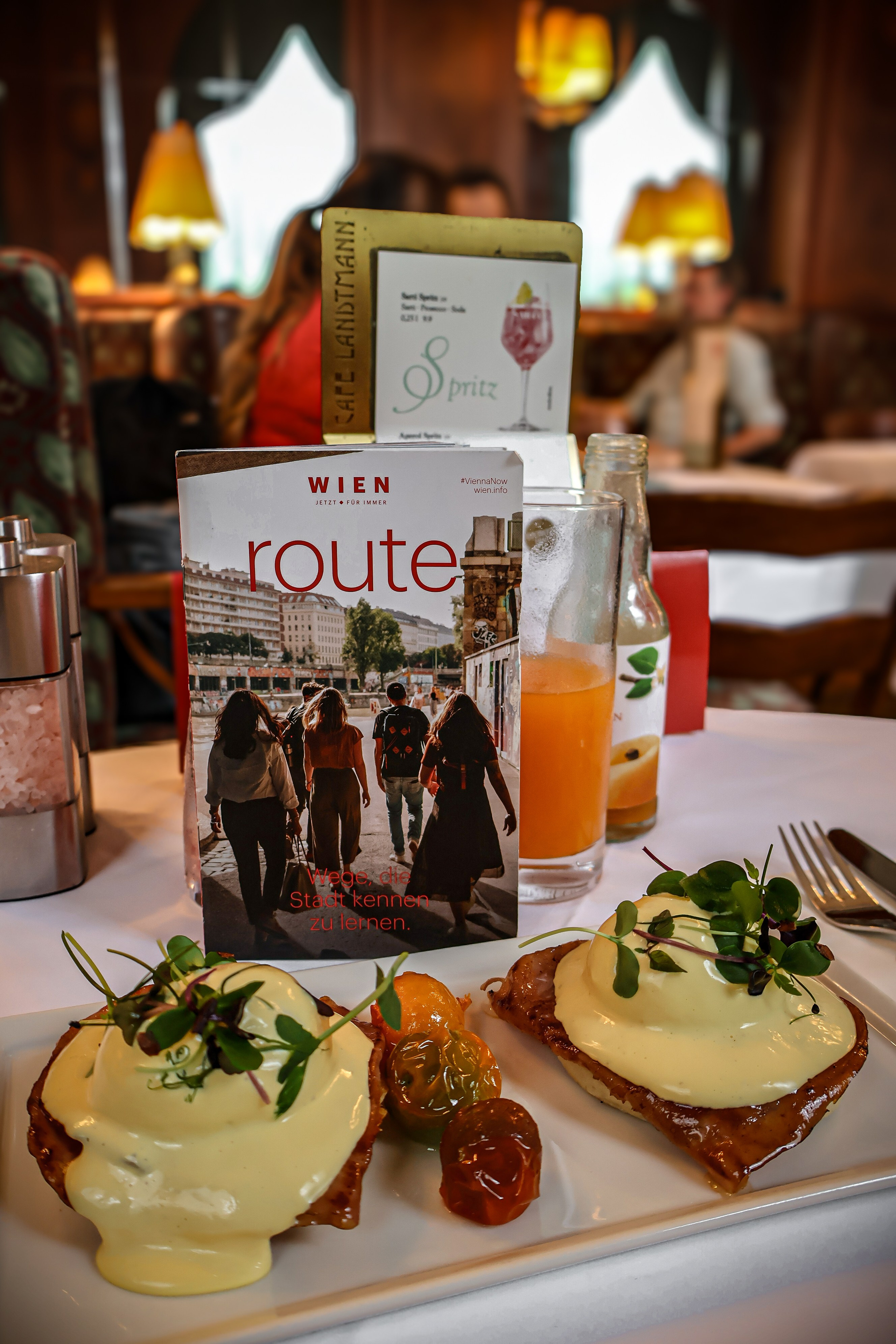 A tour around Vienna with VIENNA route