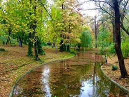 Ghidul Complet pentru fotografii in locatii reușite. MDimaFotoStudio. Fotograf de nuntă, evenimente private și de familie