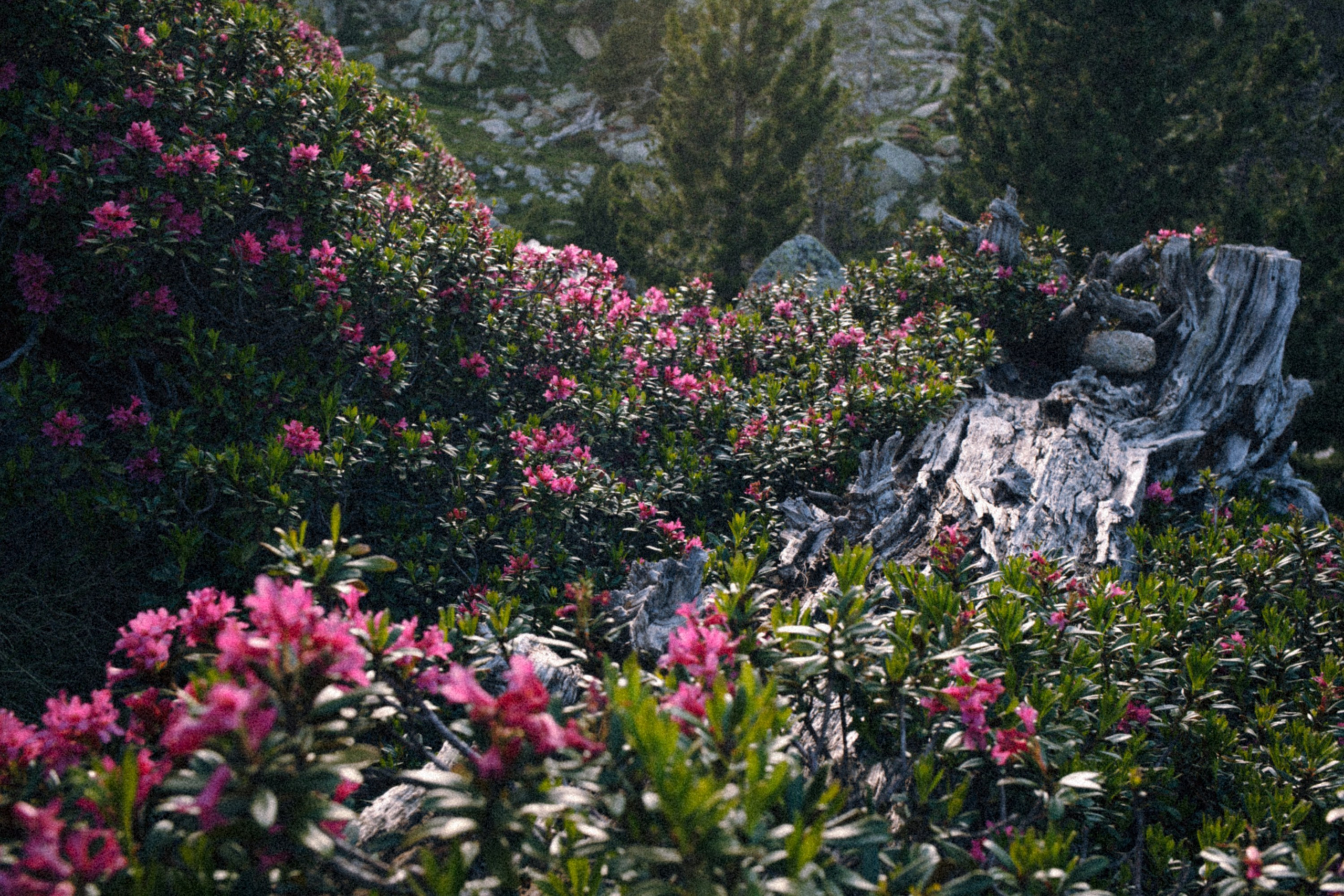 Fotografía del Refugio JM Blanc – Valle de Peguera, Pirineos. Marina Kálcheva – Photographer & Visual Artist in Barcelona