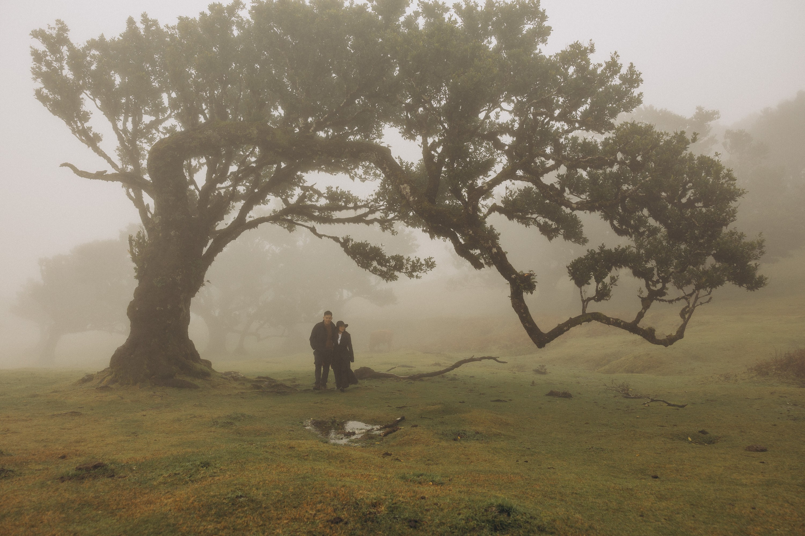 Couple photoshoot in Madeira — cinematic and emotional photography in natural landscapes.