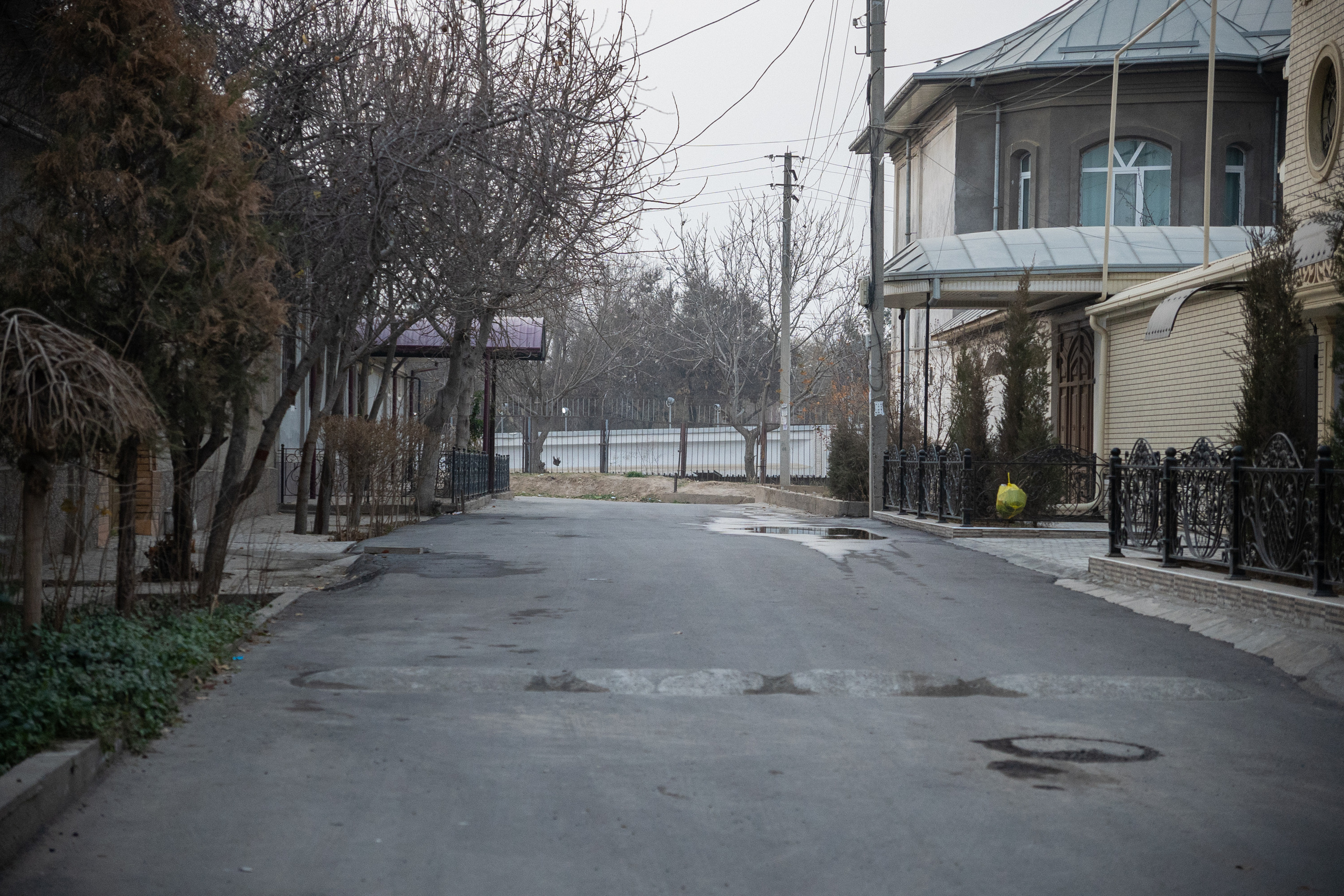 SIGMA 18-50mm F/2.8 DC DN Contemporary. Фотограф Григорий Кравец