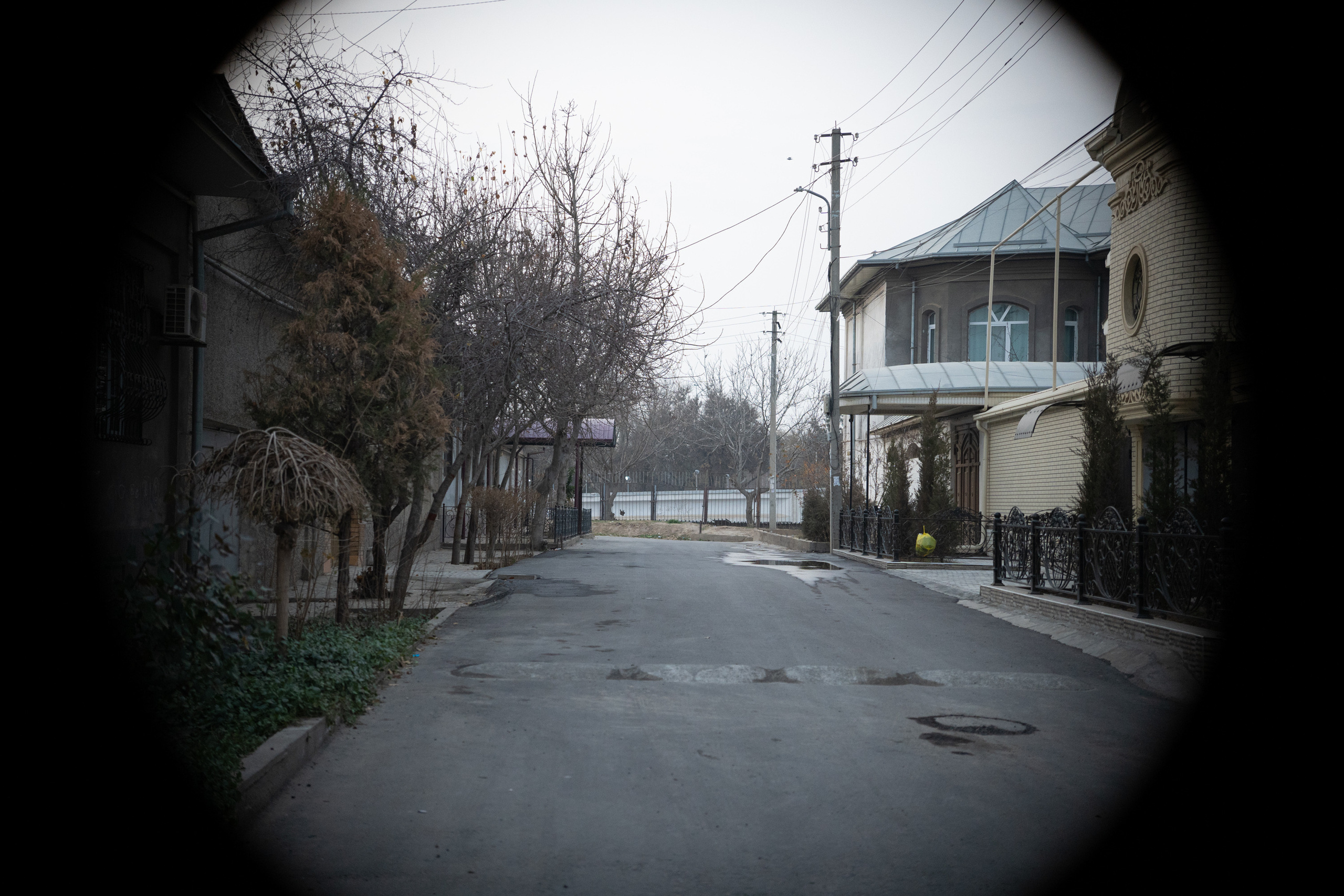 SIGMA 18-50mm F/2.8 DC DN Contemporary. Фотограф Григорий Кравец