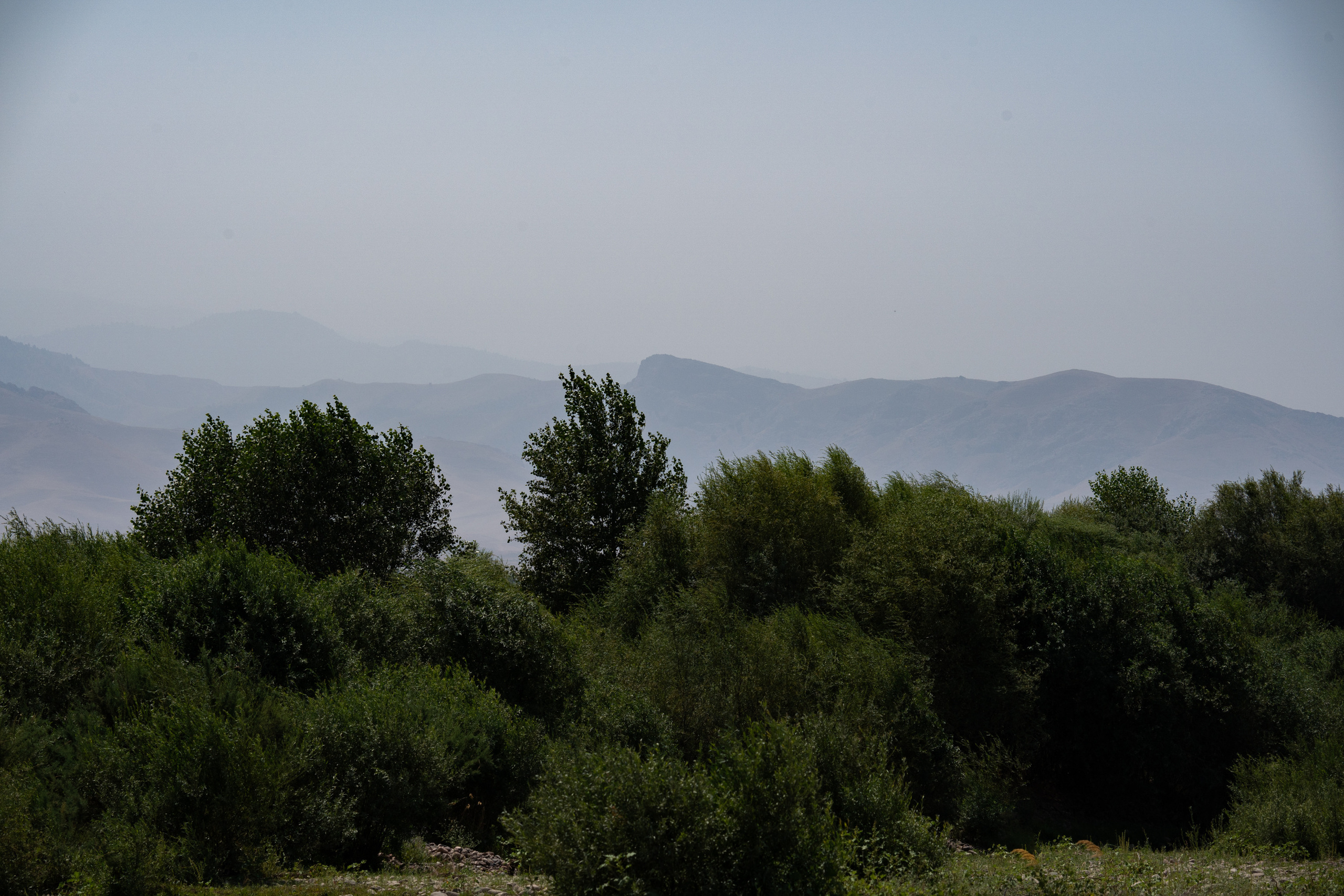 Обзор Sigma 150-600mm DG DN Sport. Фотограф Григорий Кравец