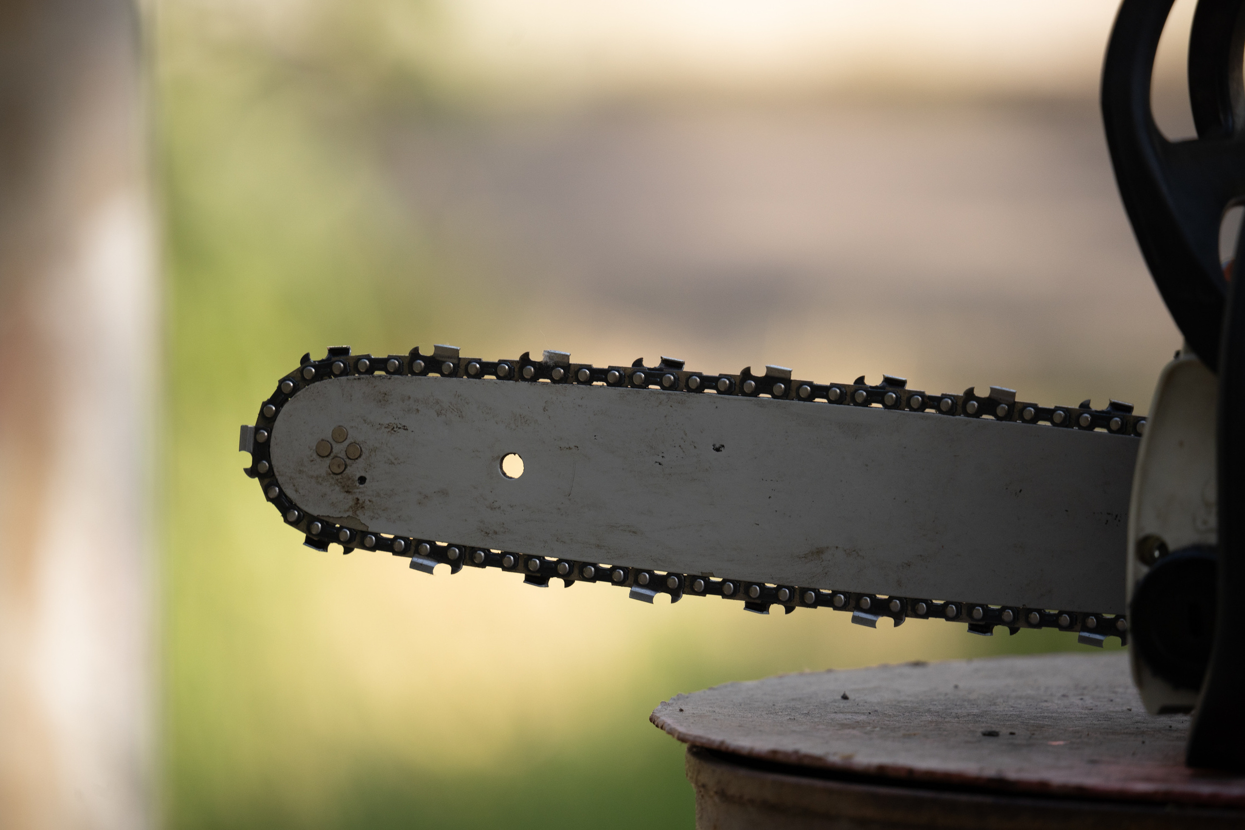 Обзор Sigma 150-600mm DG DN Sport. Фотограф Григорий Кравец