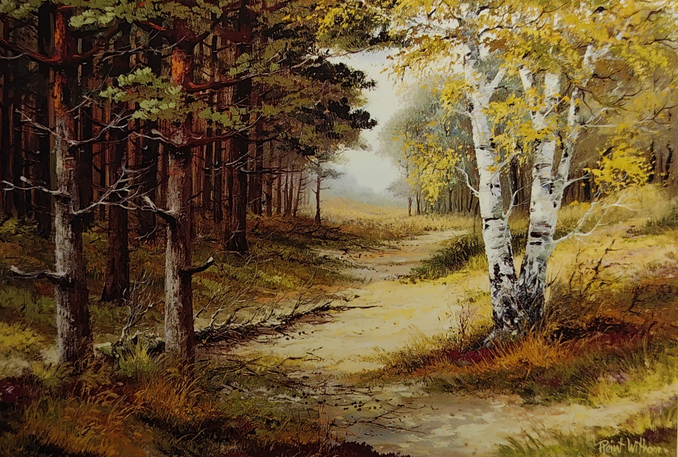 Reint Withaar — художник удивительных пейзажей. Фотограф, любитель винтажа, коллекционер винтажных открыток и создатель историй на пересечении прошлого и личного. Ирина Дайнакова