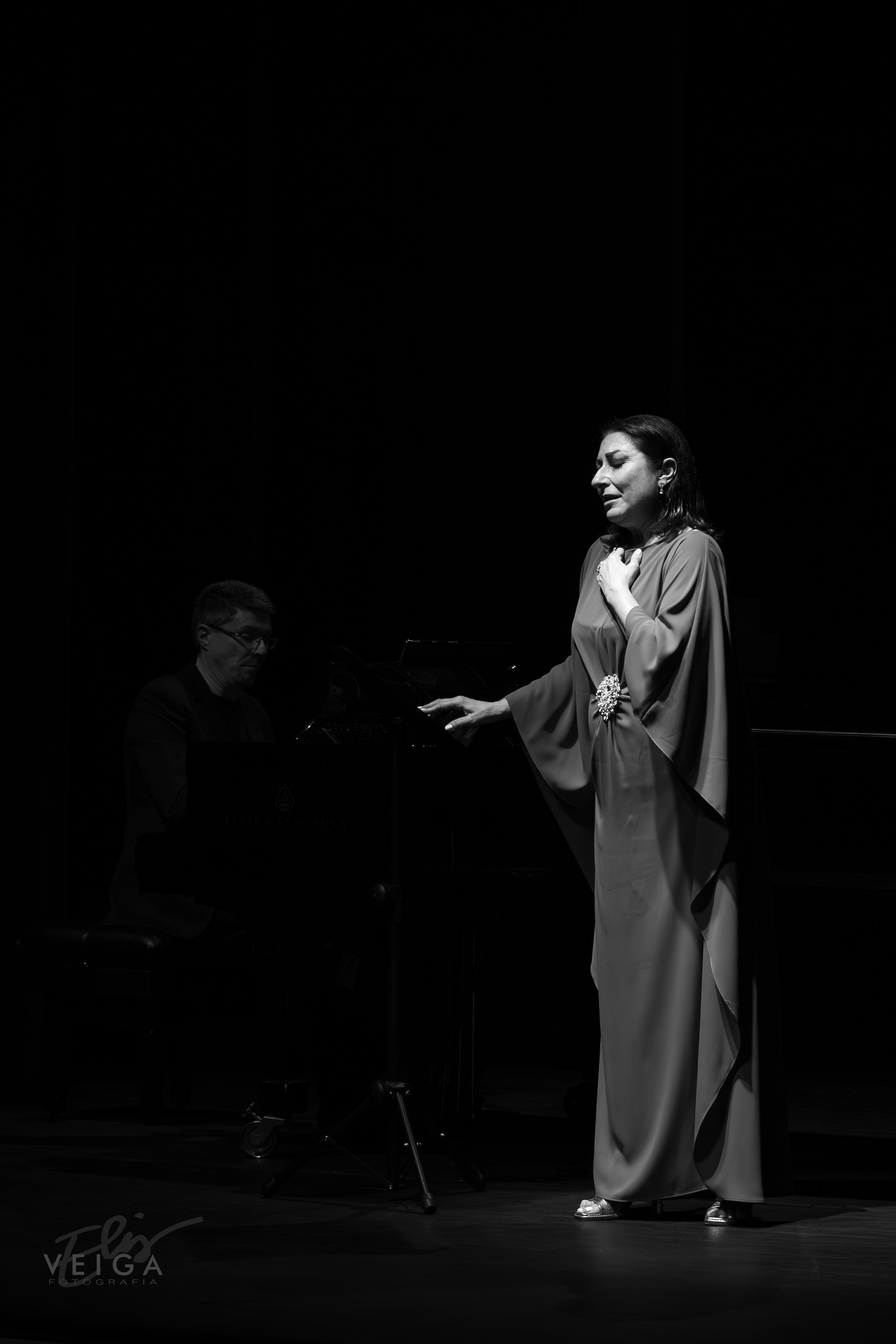 Espectáculos. Elisveiga