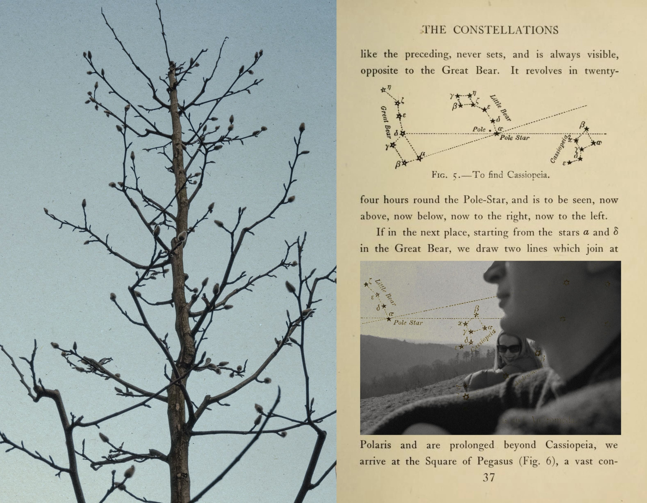 A project on the macrocosm of the human soul