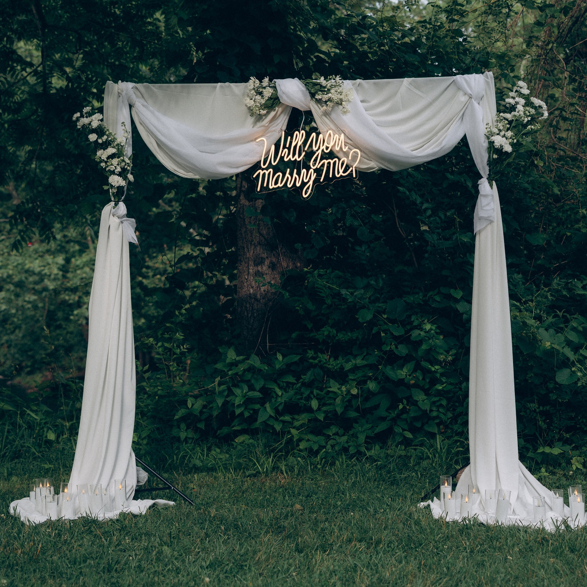 Proposal price. Kovyphoto