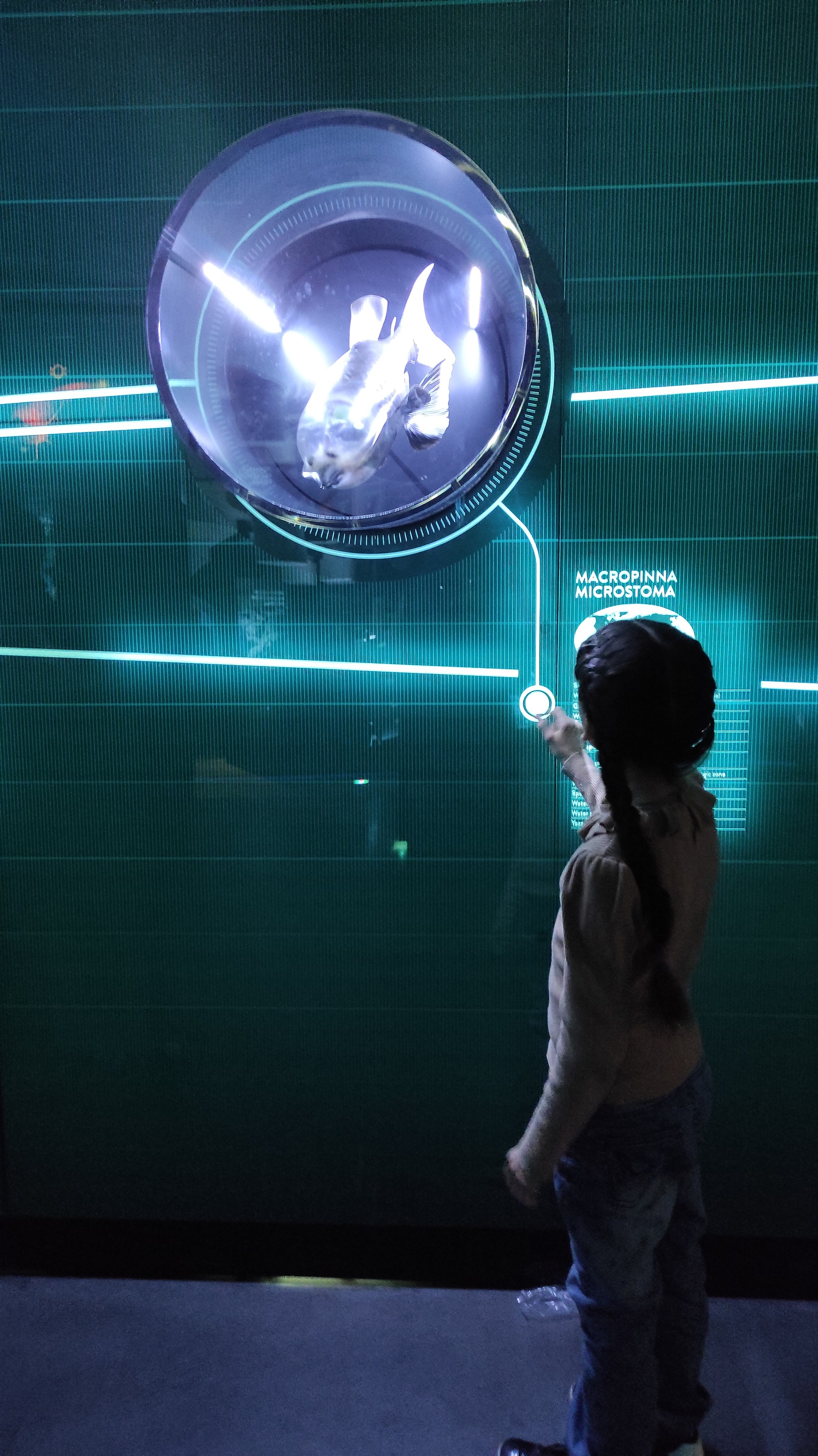 Дівчинка дивиться на морську істоту, яка мешкає на дні океану і світиться в темряві