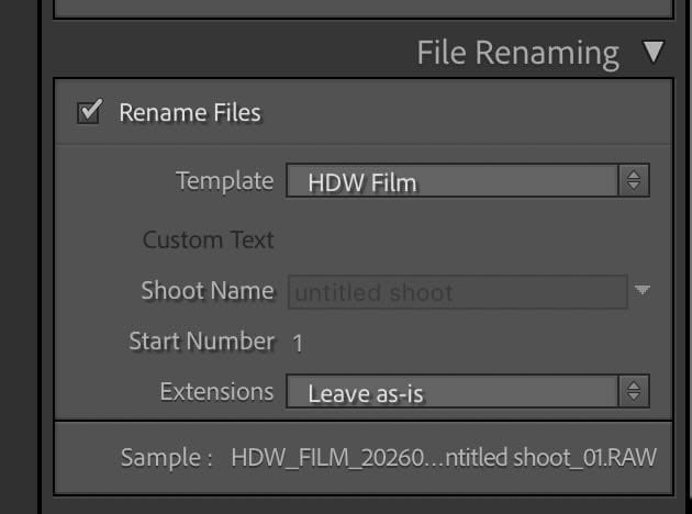How to Use EXIF Data with Scanned Film Photos | Film Photography Workflow. Hedley Wright Photography | East Anglia Sport, Street, Wildlife, Landscape & Astrophotography