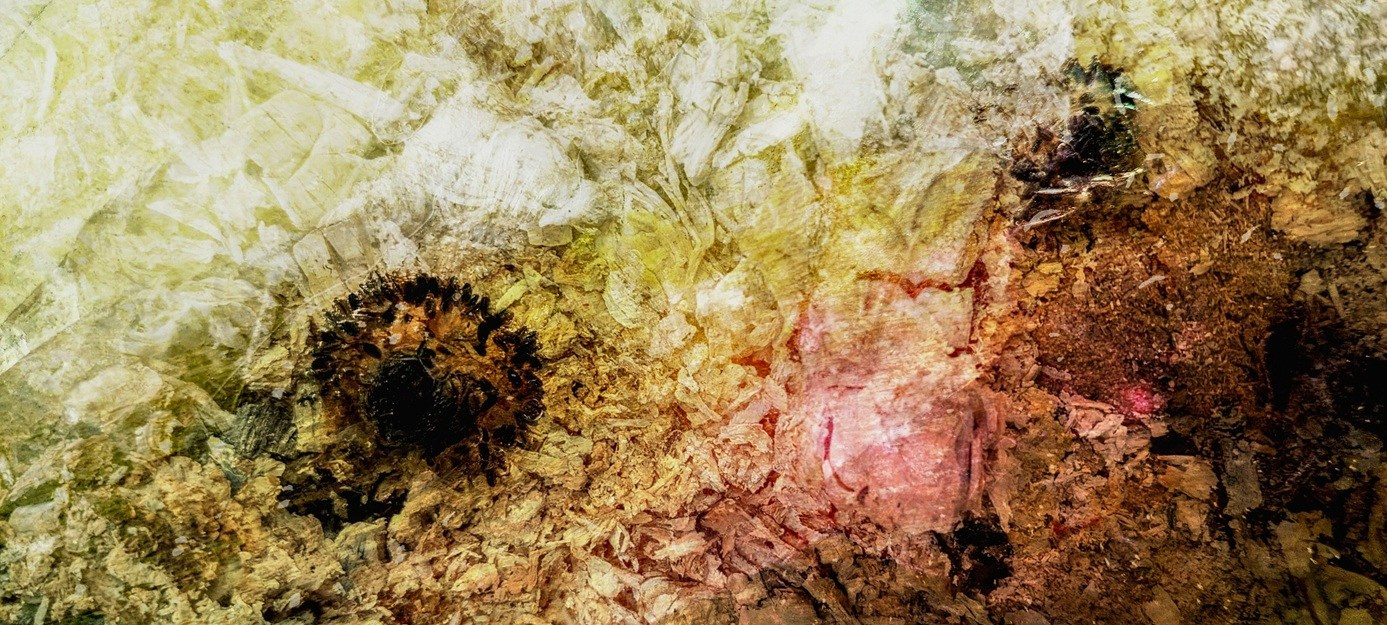 Limited Edition. Photographer artist Liashenko Oksana